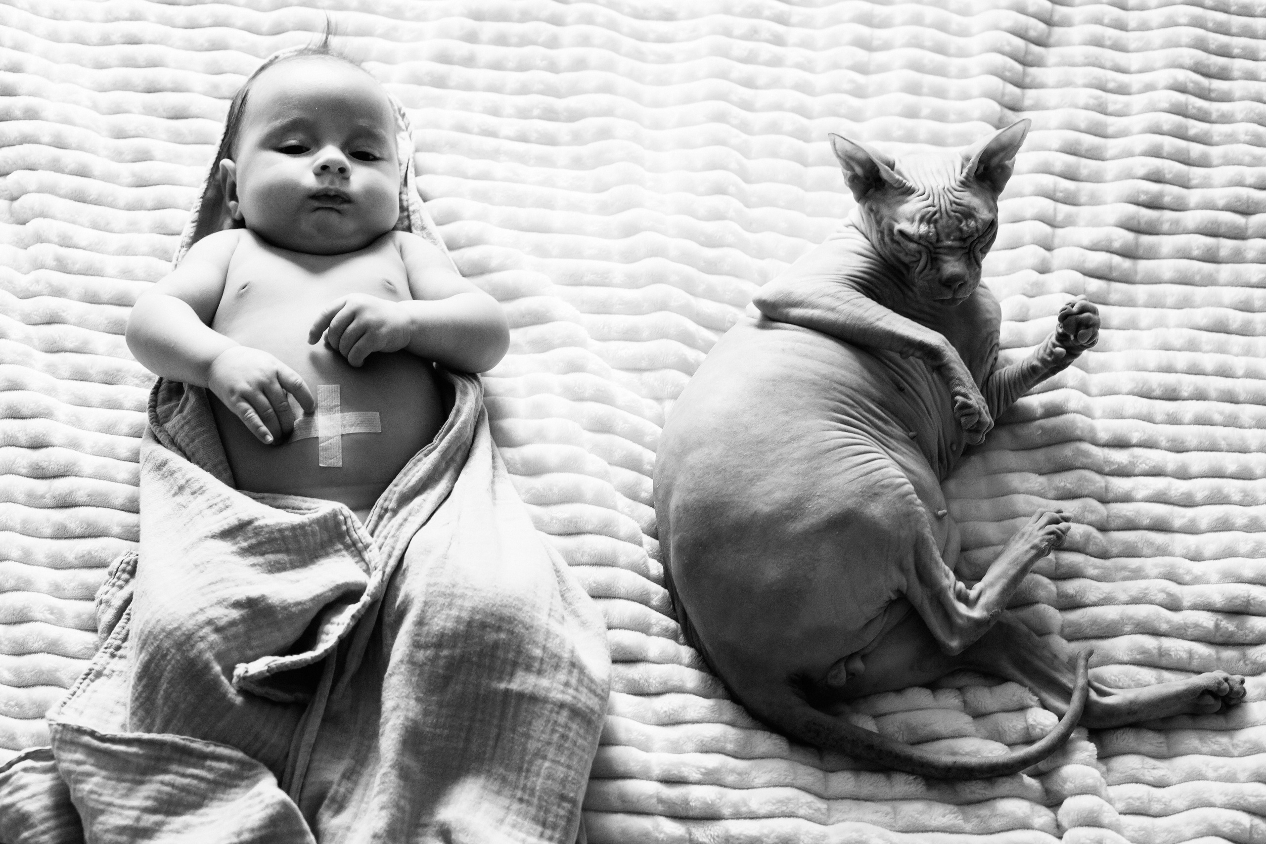 Есения. Фотограф в Волгограде Галина Власенко