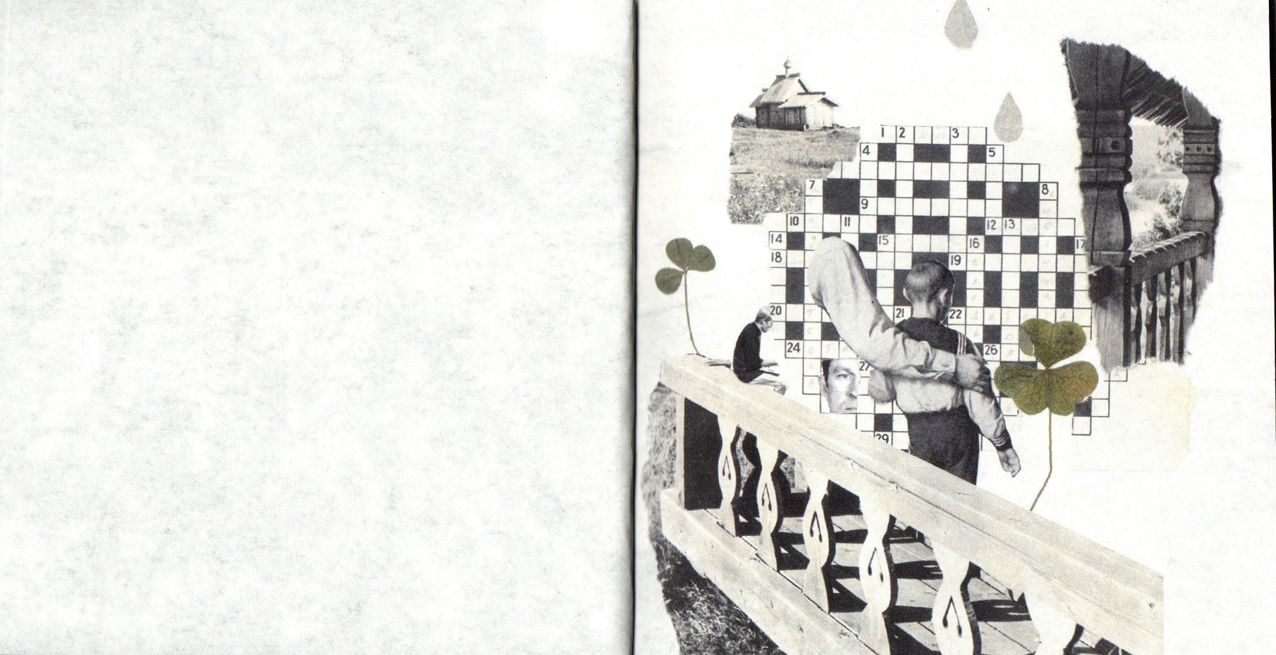 Деревья, которые дают сил. Фотограф Анна Кирнос