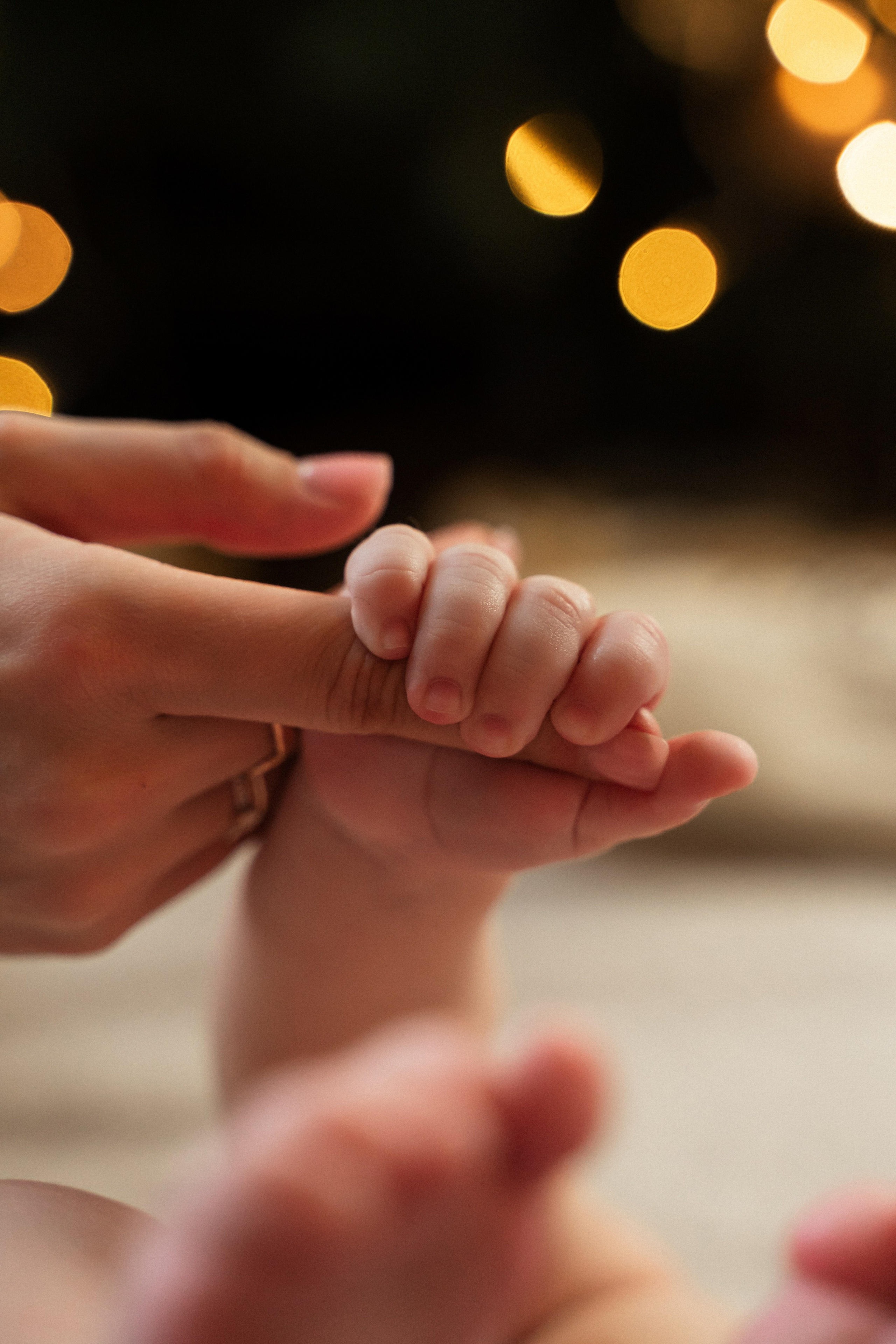 Семья Насоновых. Фотограф Алина Филимонова Тверь