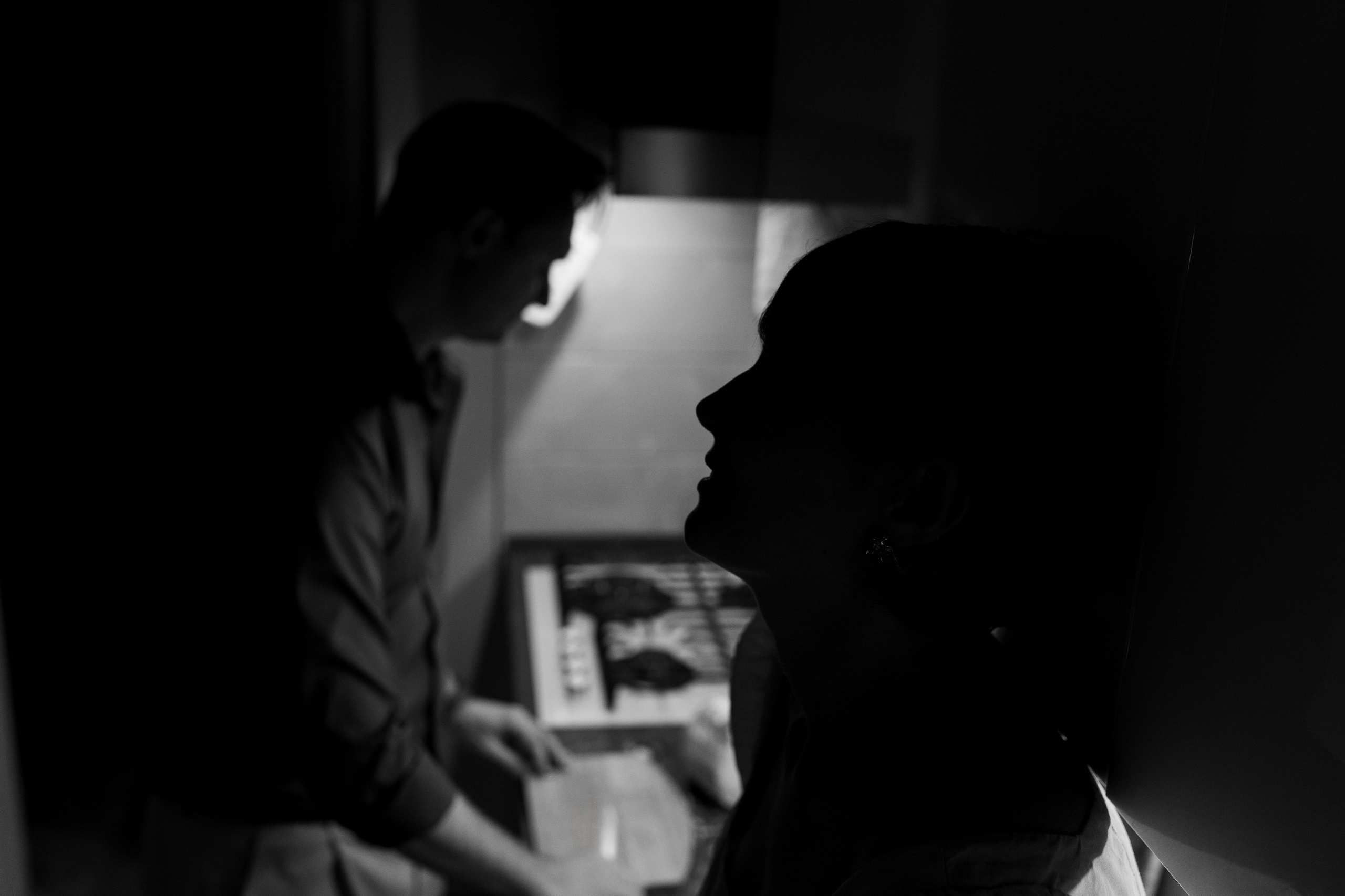 Домашняя история. Meryfotoidea