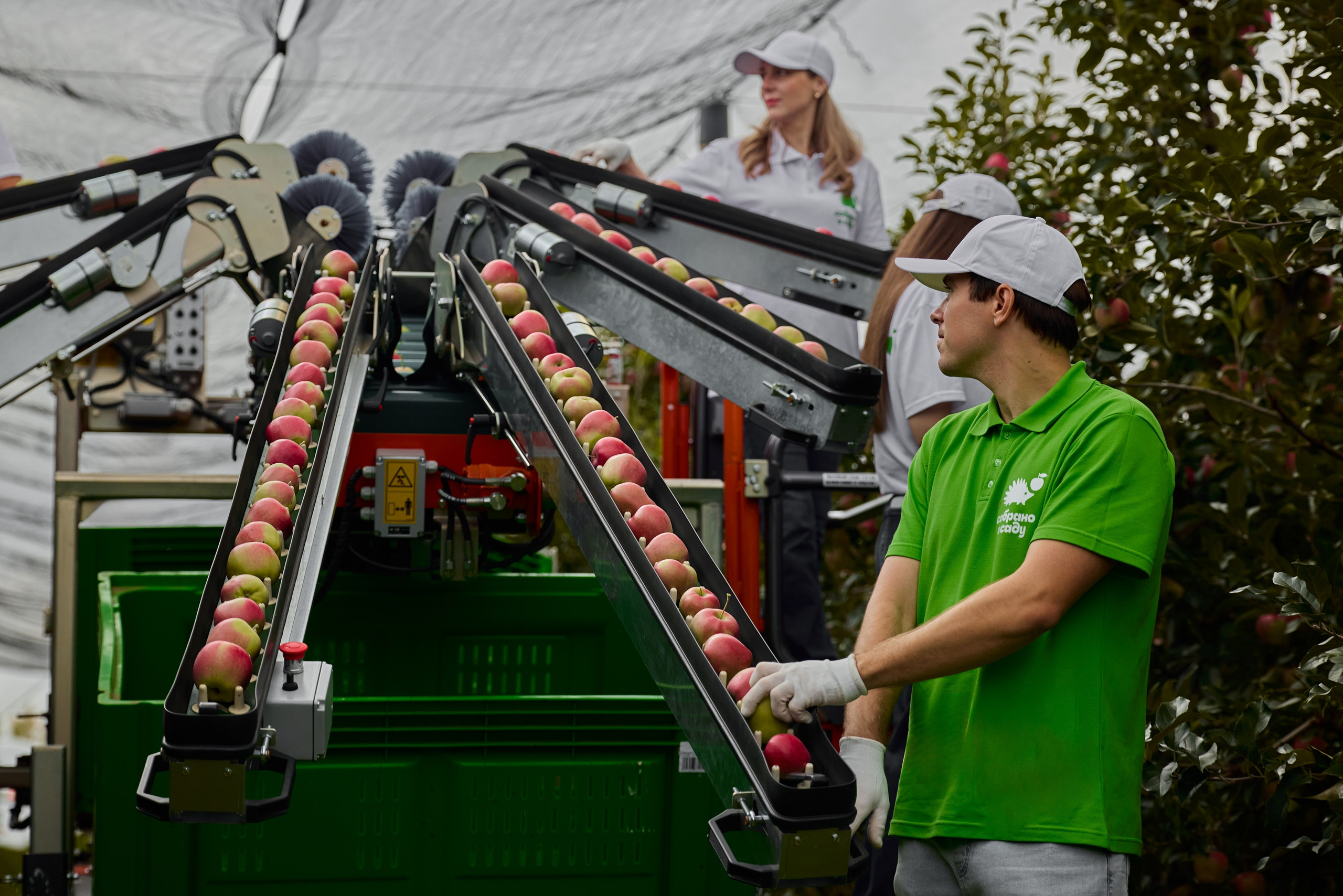 Собрано в саду. Святослав Лебедев | Рекламный фотограф — Коммерческая съемка, Арт-дирекшн, AI-интеграция