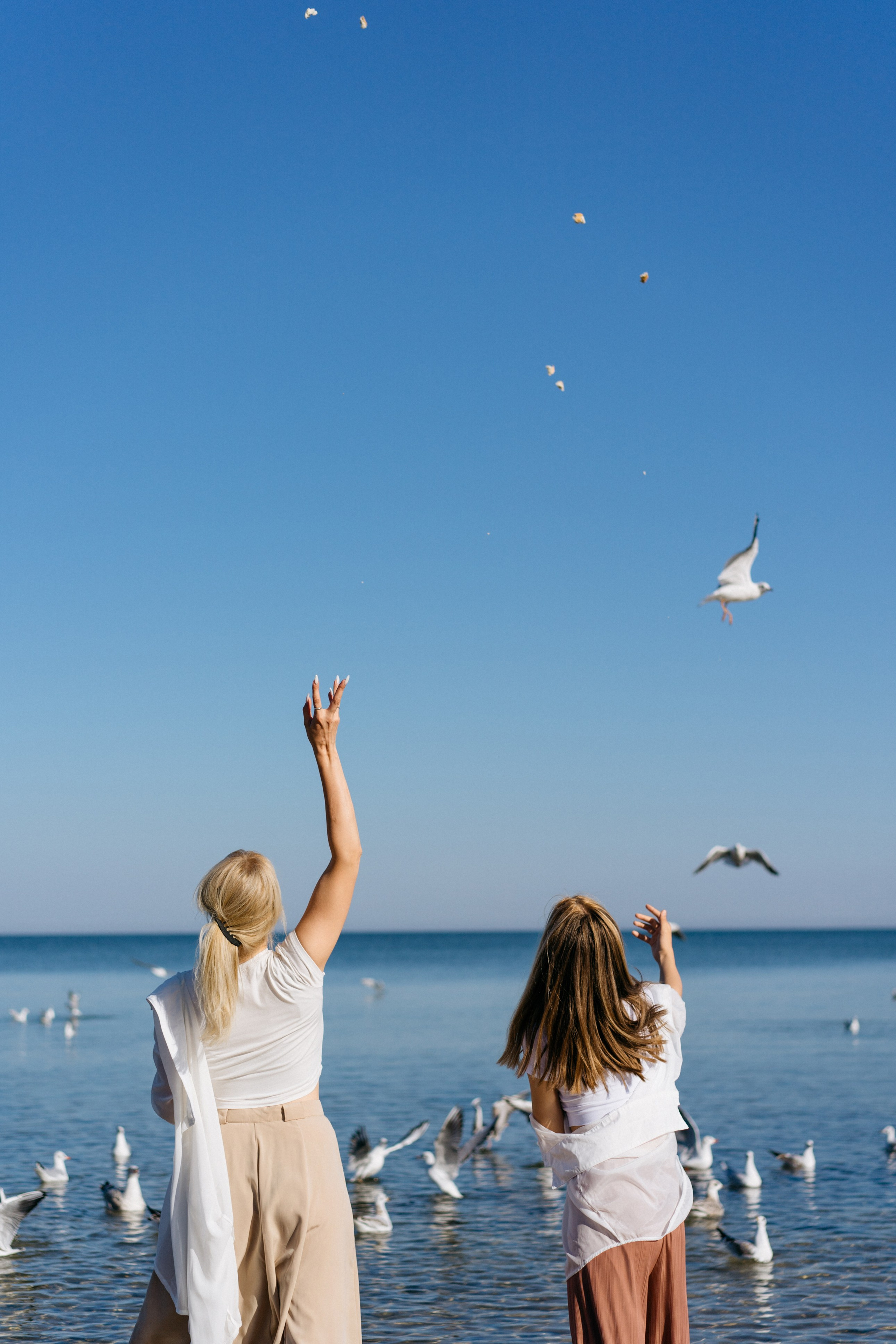 Зеленоградск. Свадебный и семейный фотограф в Калининграде Анастасия Гриценко