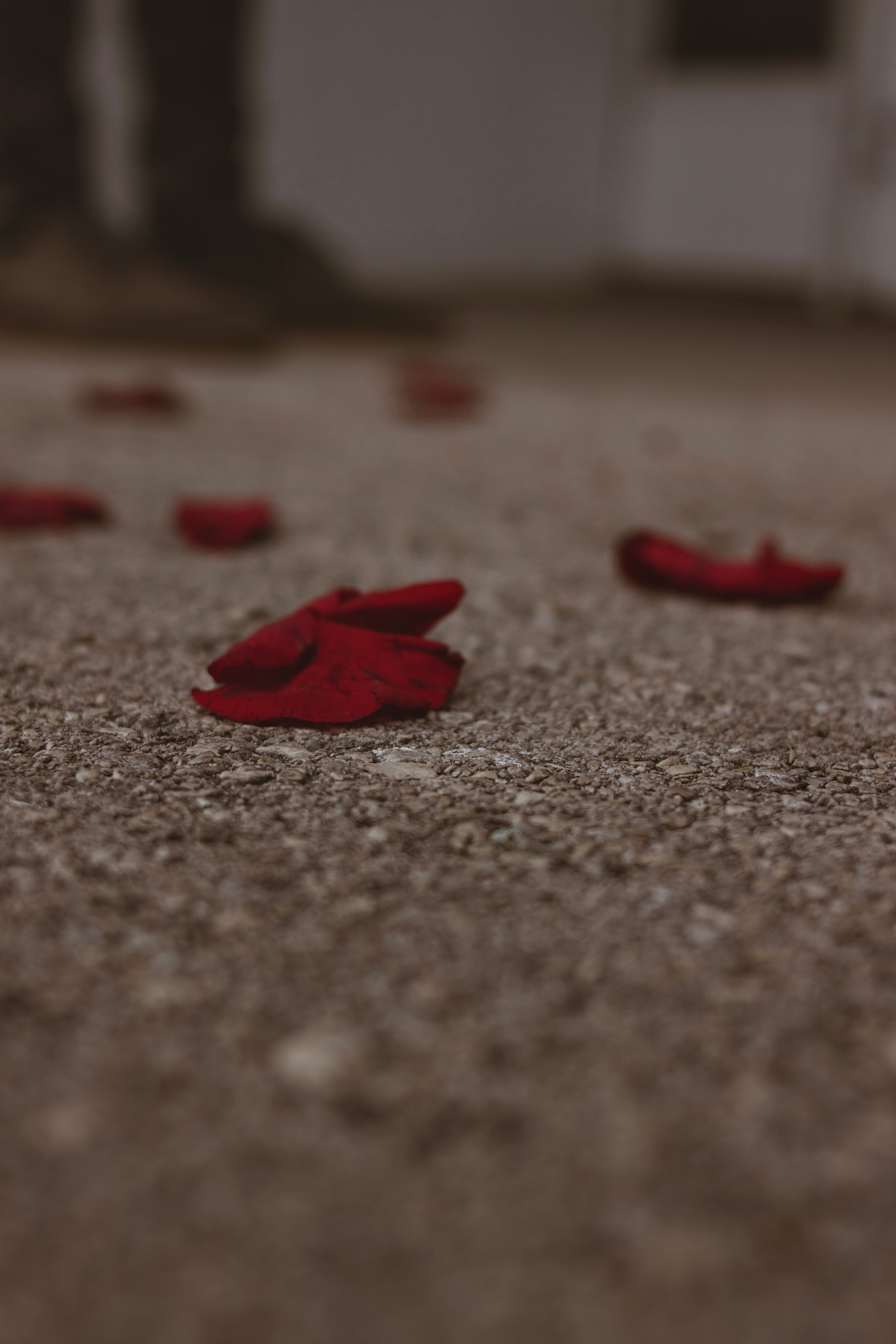 Никита & Дарья. Свадебный и Семейный Фотограф Алексей Унямин в Самаре и Тольятти