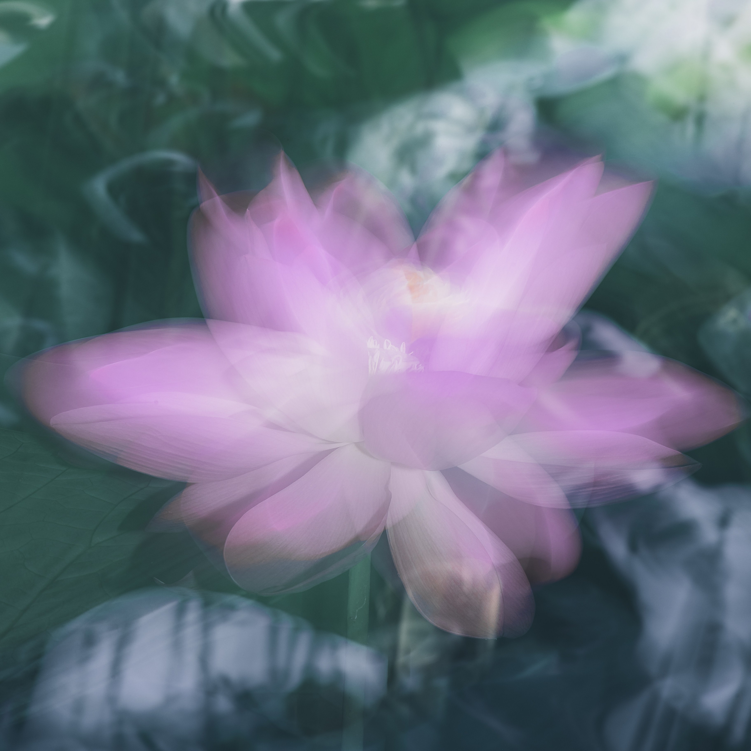 Астраханская область 2025 | Фотограф Дмитрий Купрацевич. Дмитрий Купрацевич профессиональный пейзажный и travel-фотограф