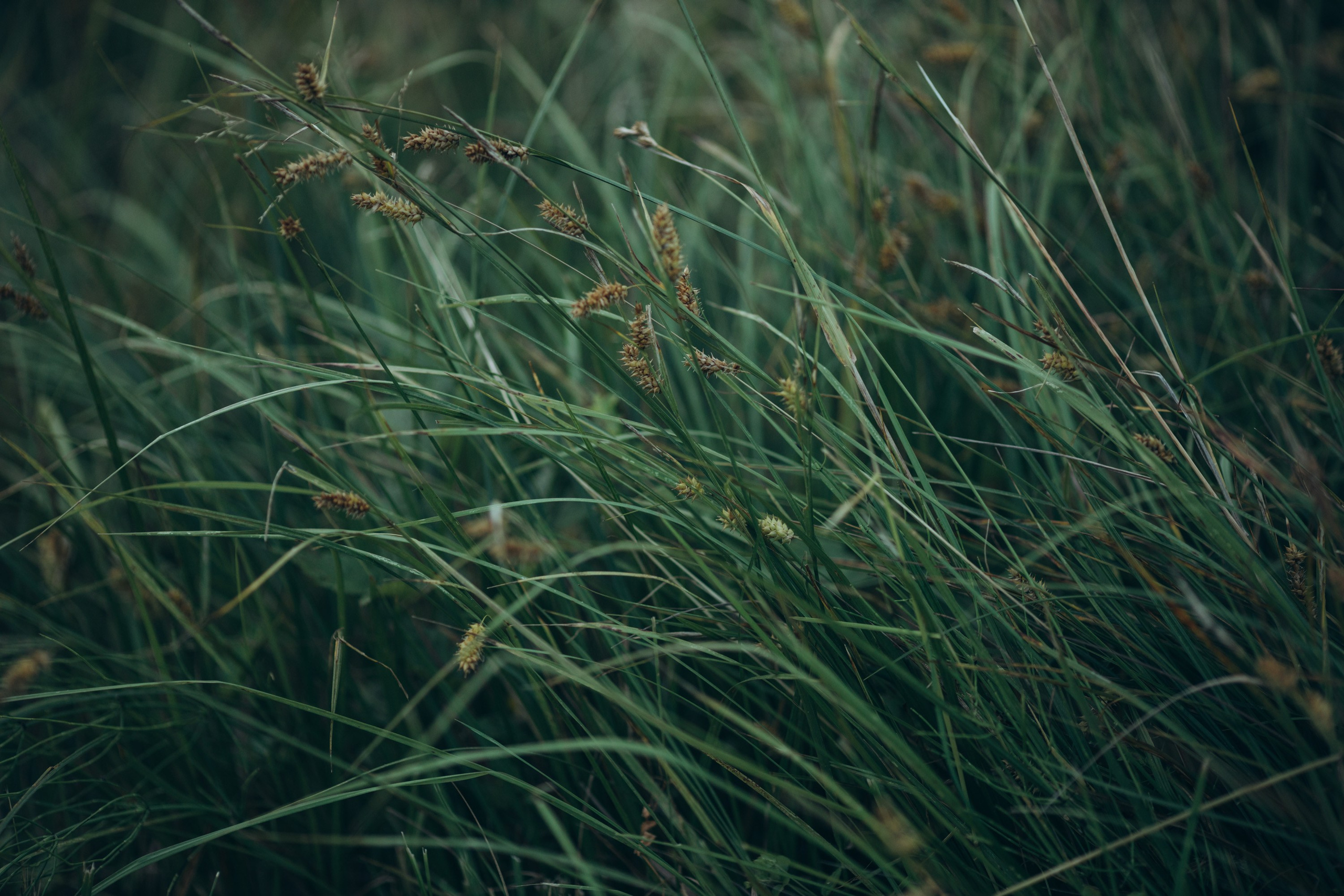 Наталия Клевинскас портретный фотограф в Костроме
