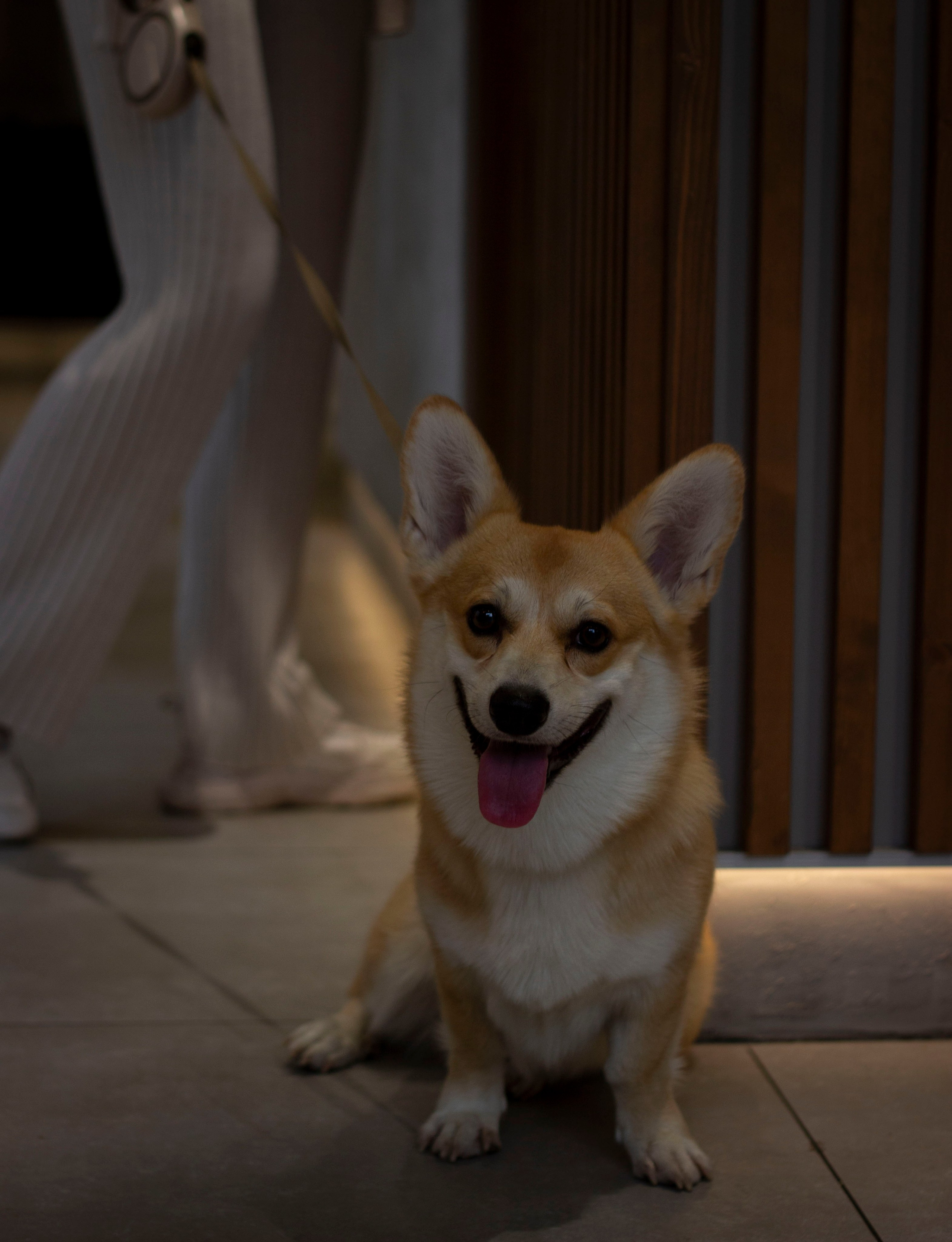 АНАТОЛИЙ И ВИКТОРИЯ. Женский фотограф в Новосибирске