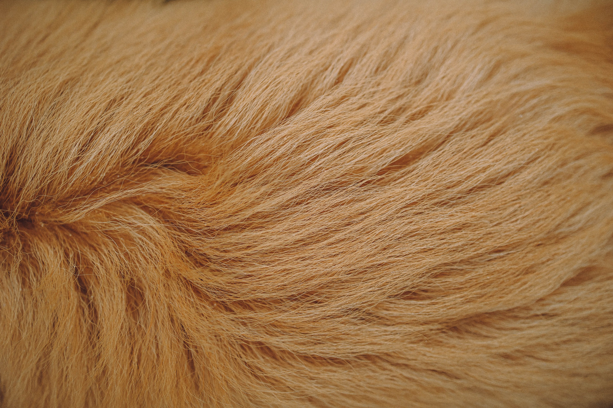 Алина, Витя и Асти