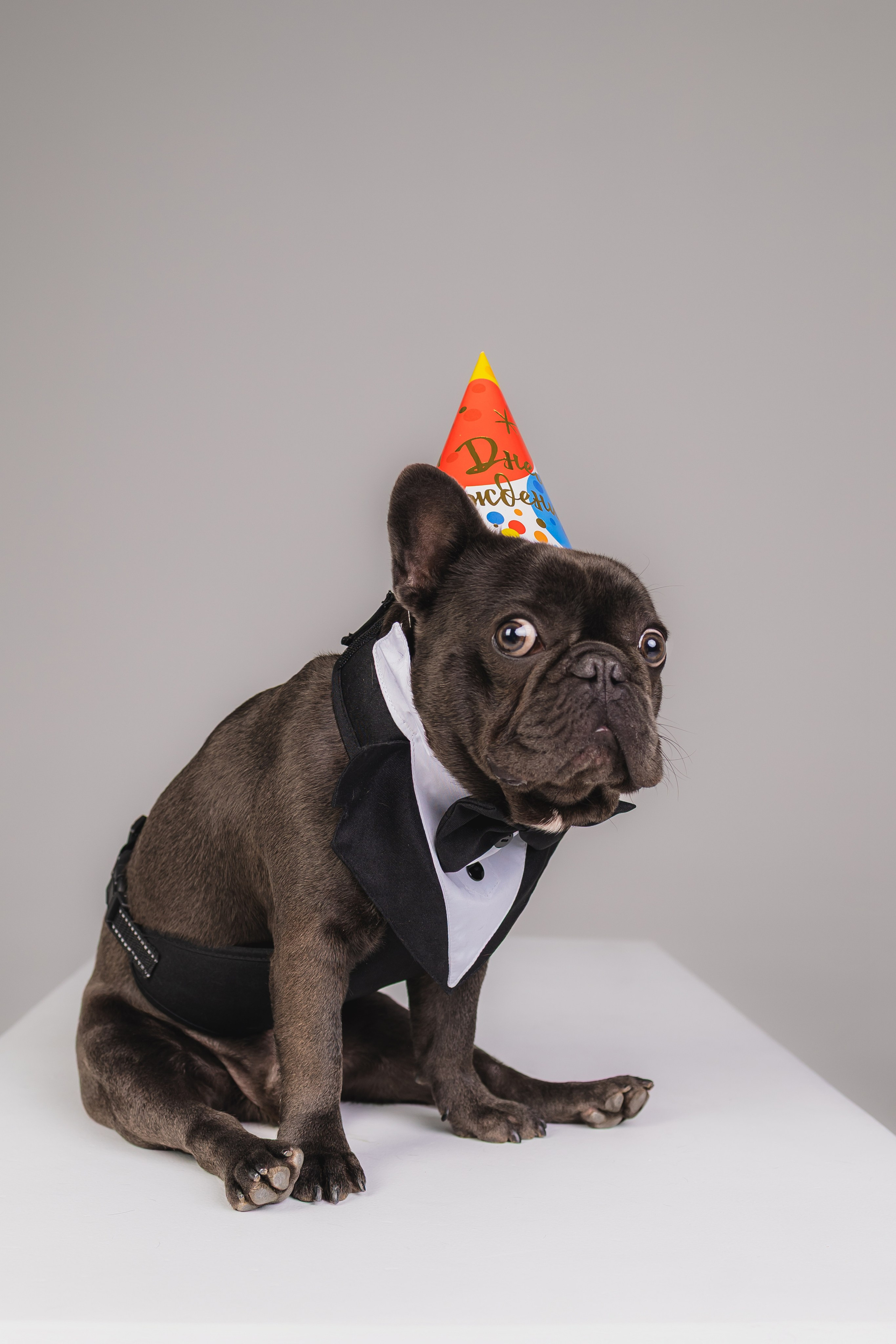 Кристина и Счастье