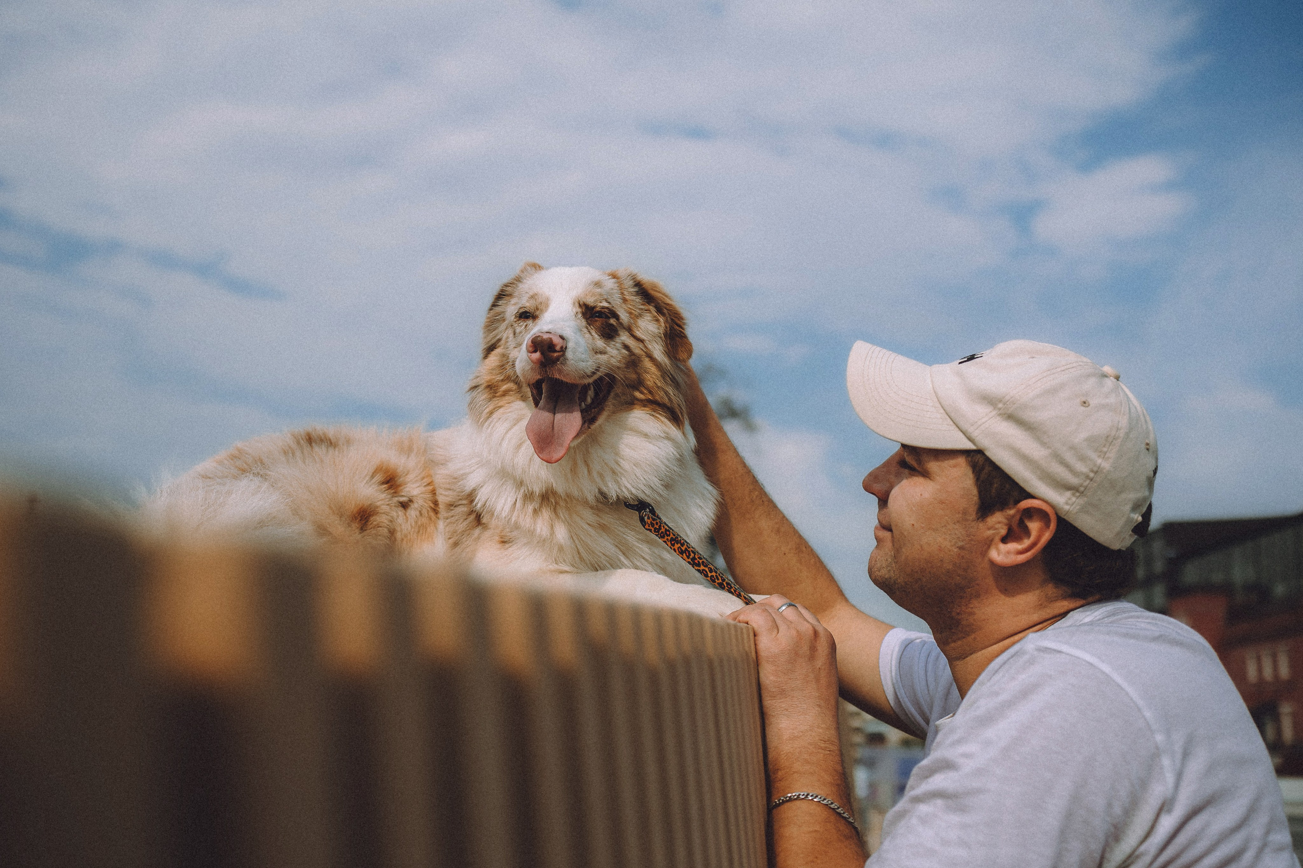 Один и его семья