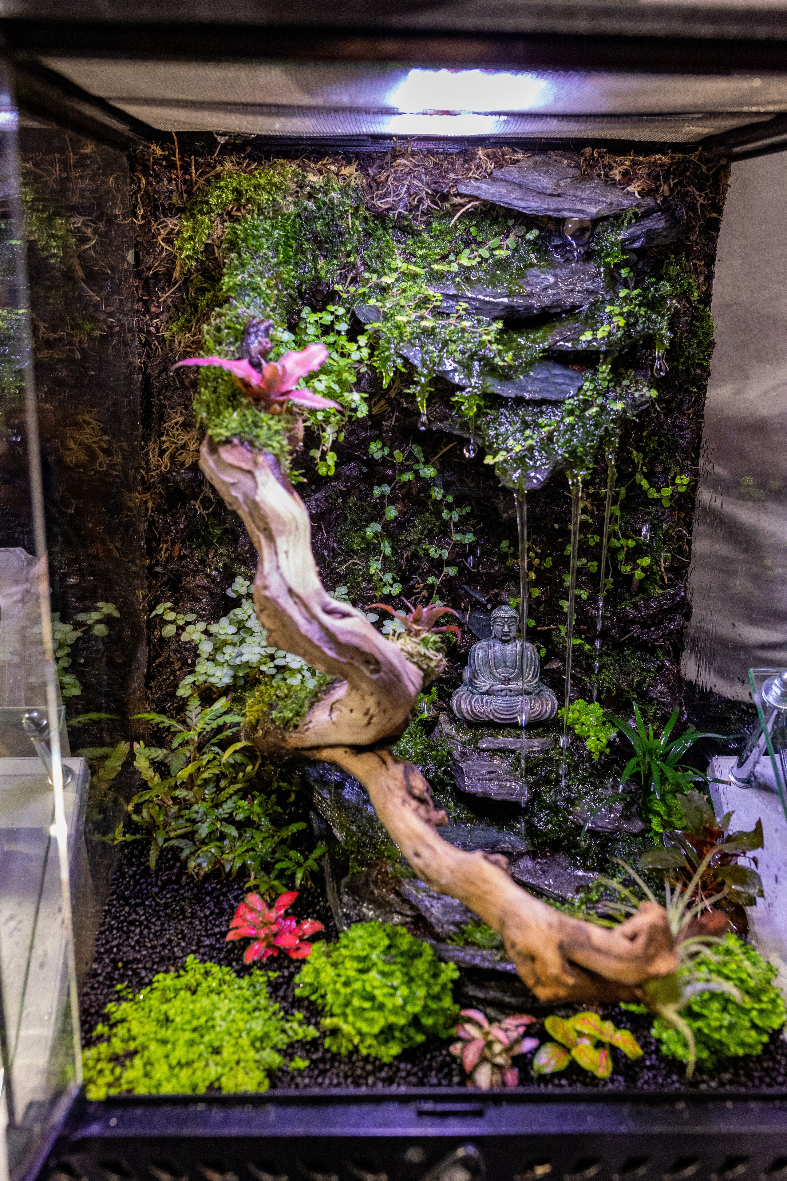 Рептилиум 2024. Александра Куликова фотограф, Москва