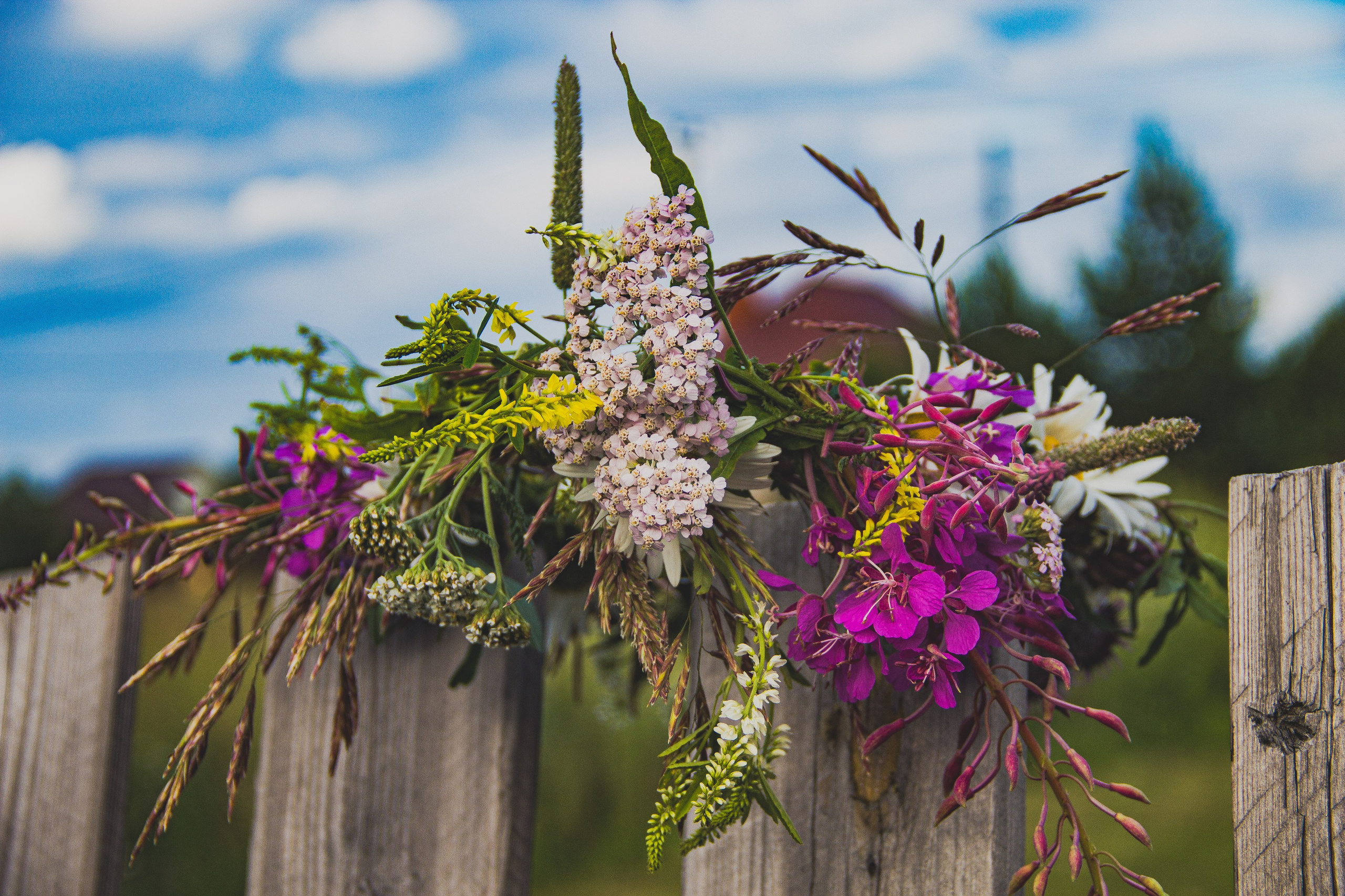 Family: день Ивана Купалы. Фотограф в Перми Любовь Огородова | Авторские туры