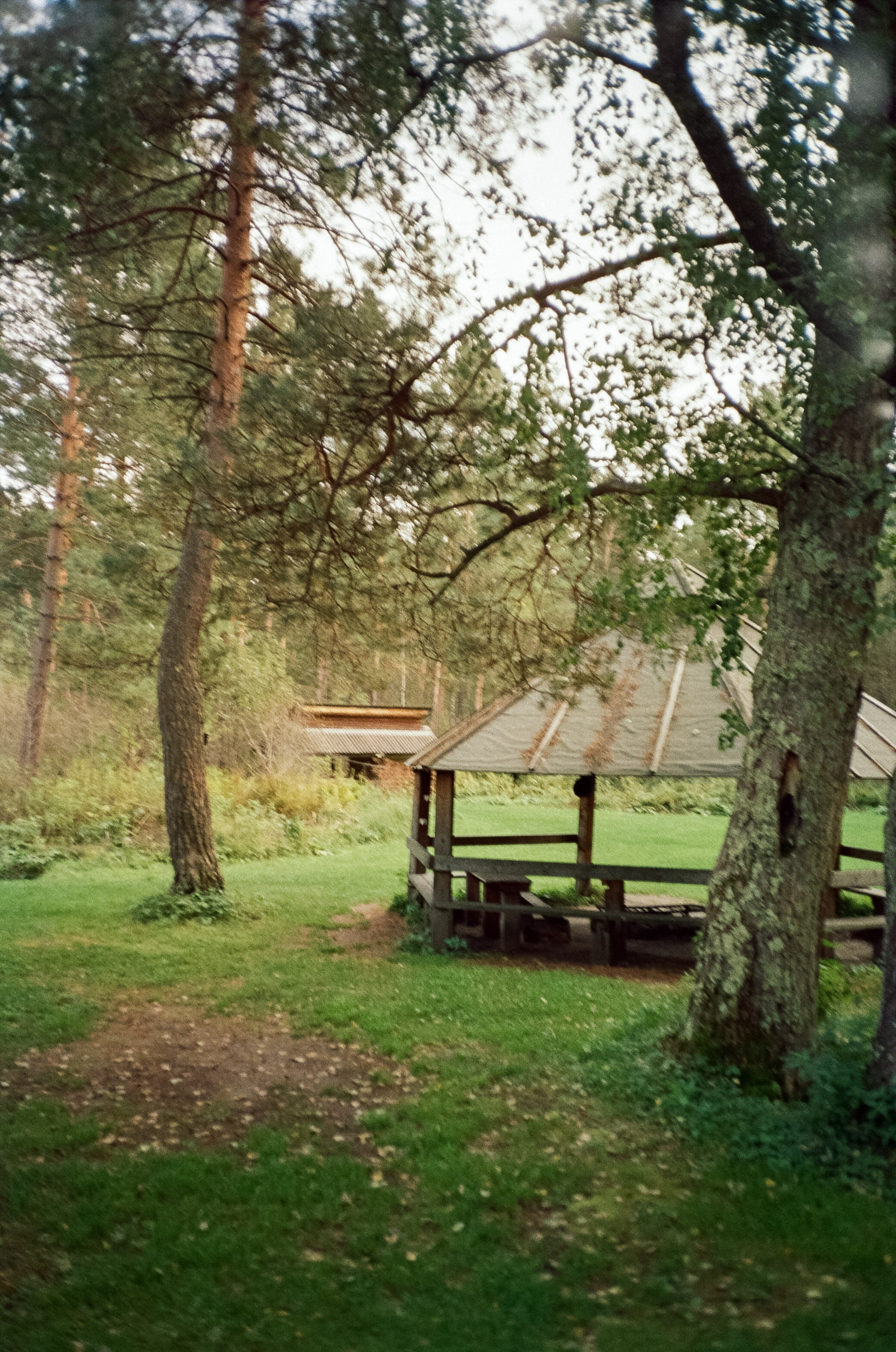 Горно-алтайский ботанический сад