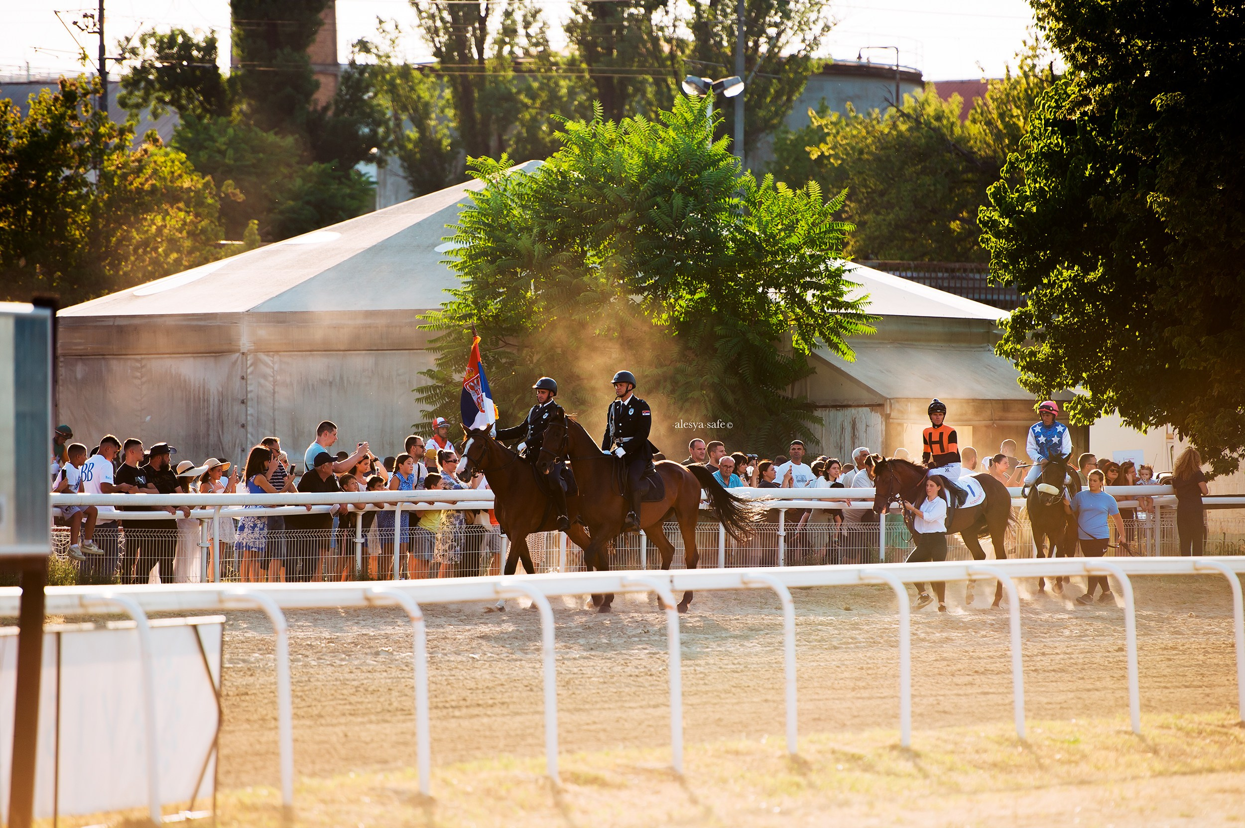 Скачки. Конный фотограф Alesya Safe