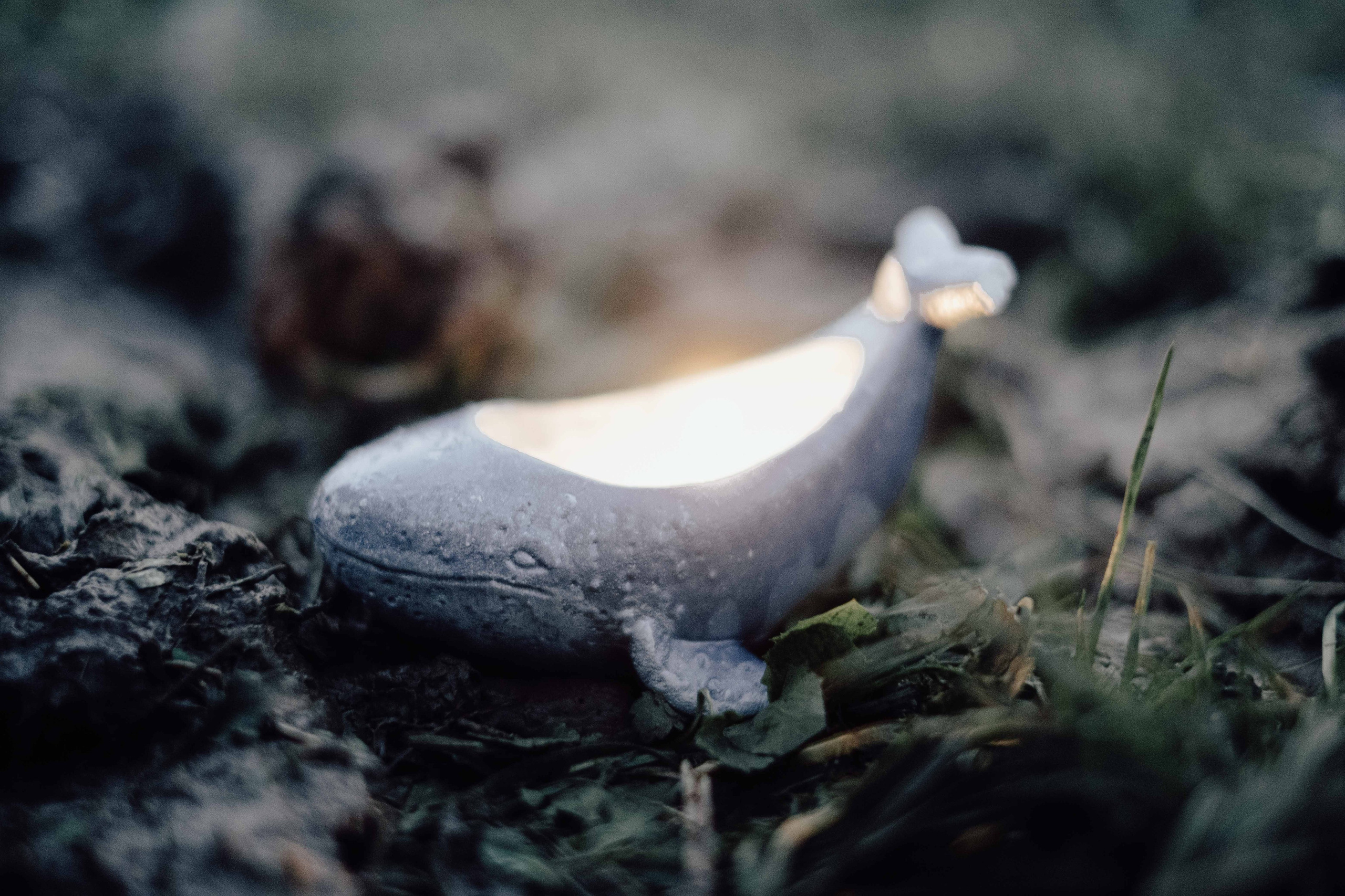 «52 герца». Фотограф Аннё| Москва