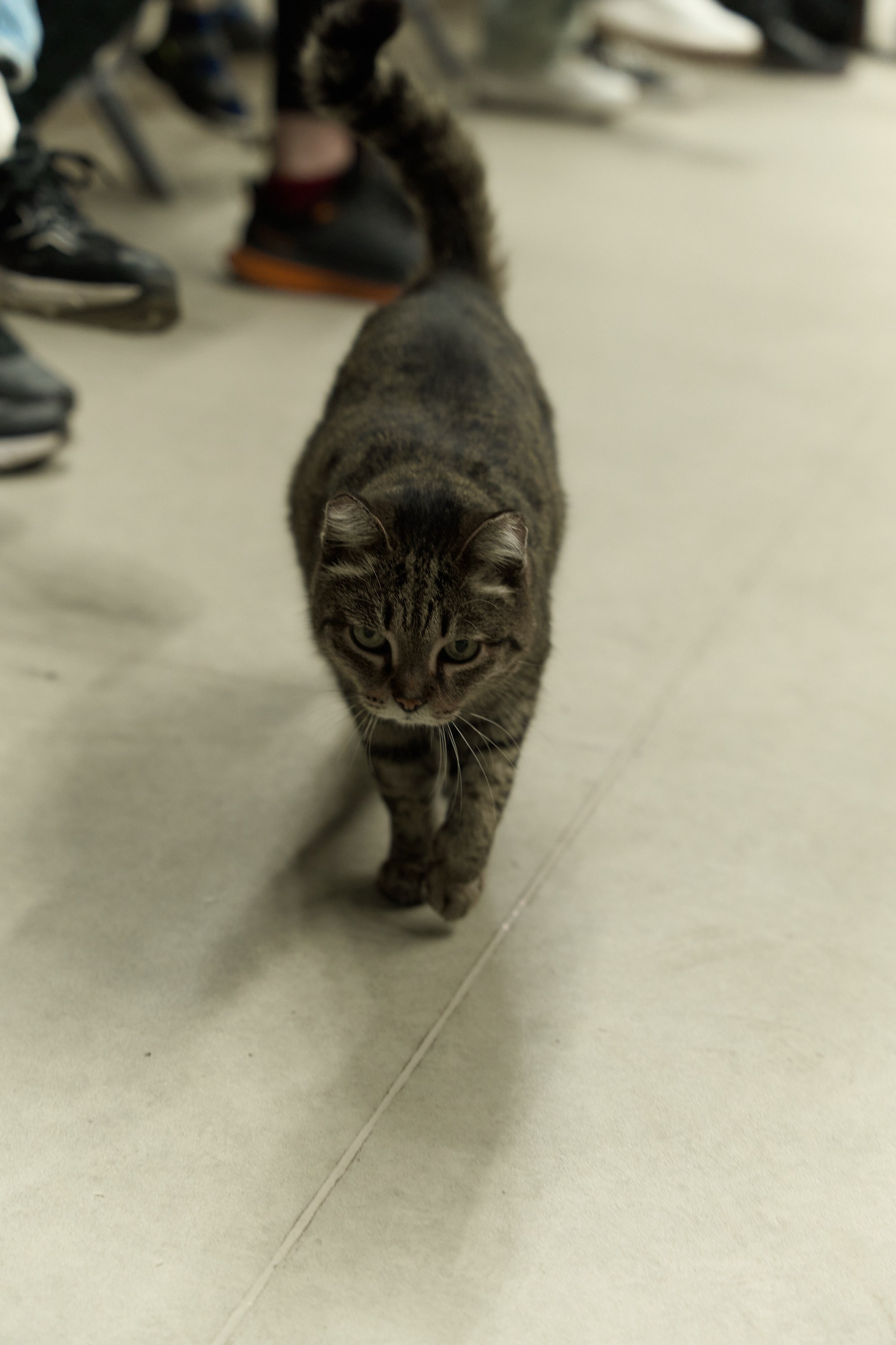 Фехтование Львы Енисея. Александр Сазонов Красноярск