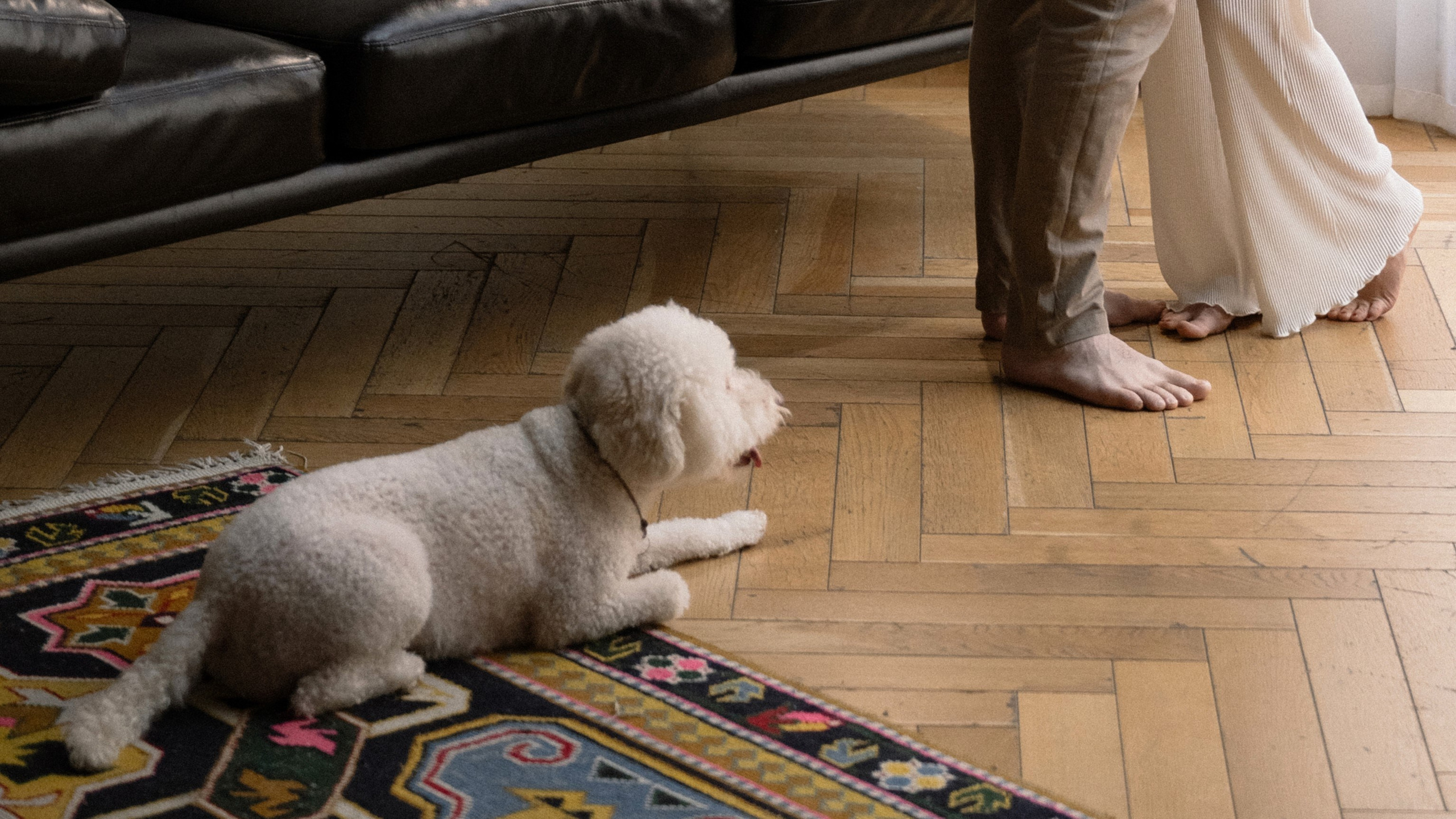 Анна и Дэвид. Свадебный и семейный фотограф Ракитин Илья