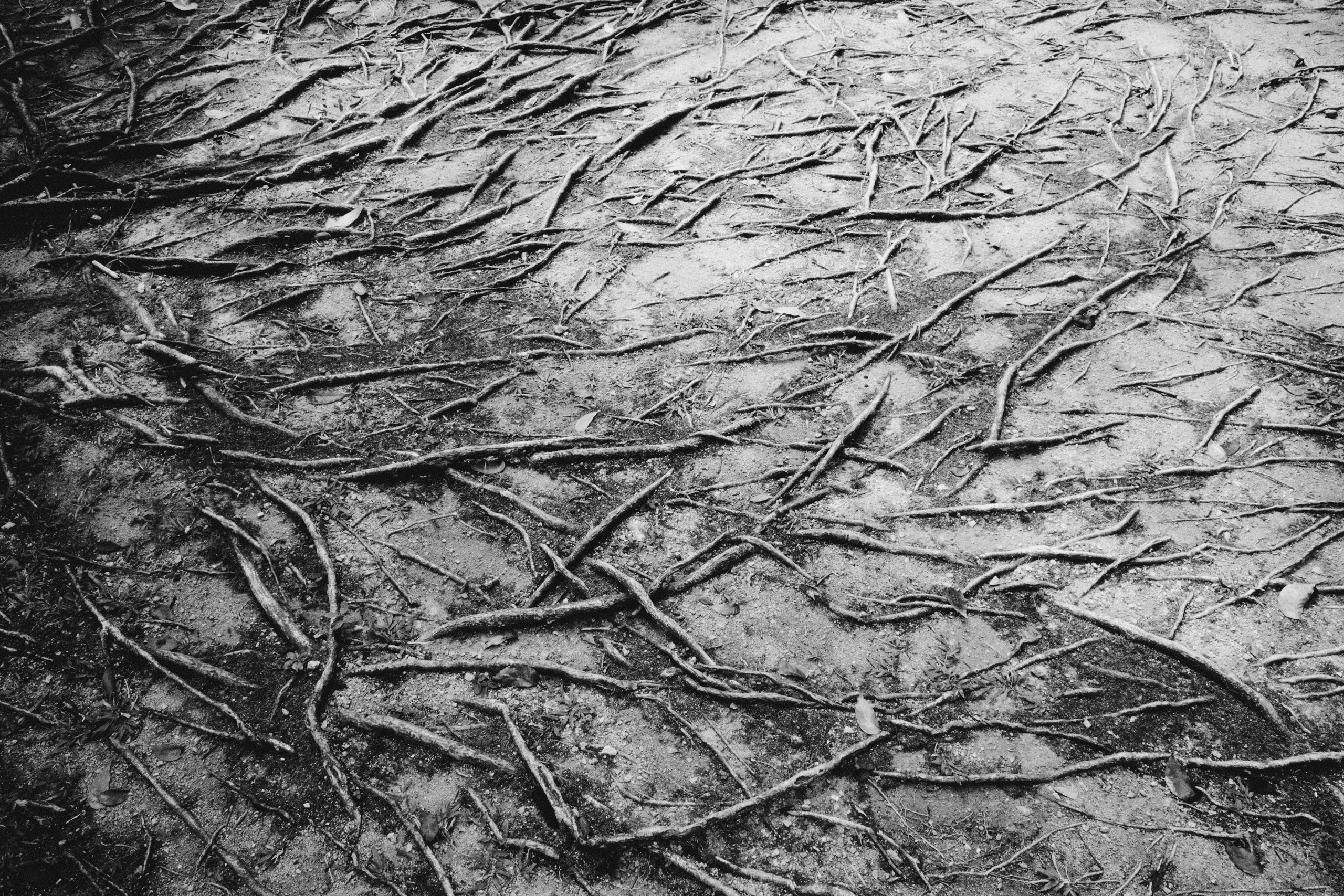 Малайзия плёнка. Свадебный фотограф в Спб Сергей Баланян