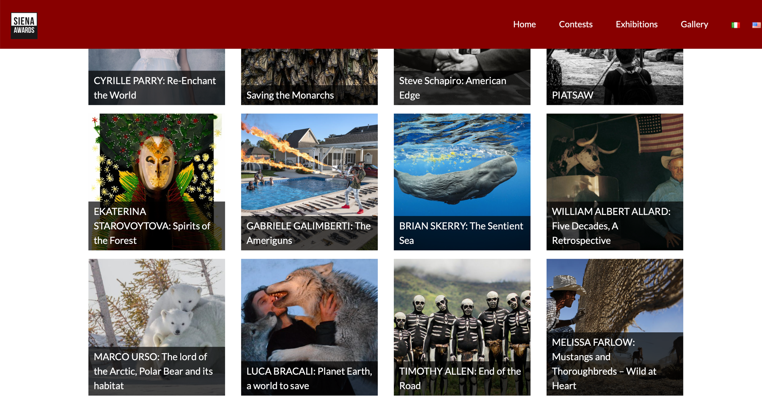 SIENA CREATIVE PHOTO AWARDS. Междисциплинарный художник Екатерина Старовойтова