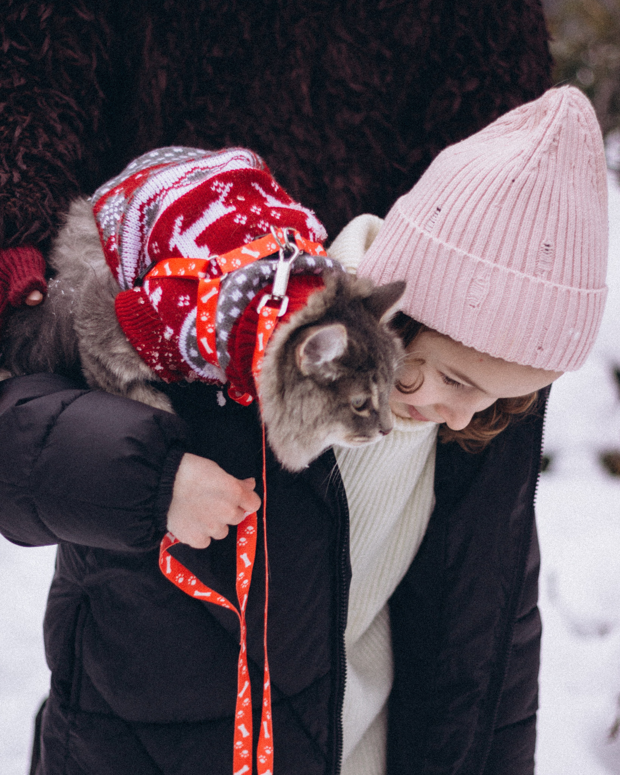 Пушистая любовь. Семейный фотограф в Нижнем Новгороде