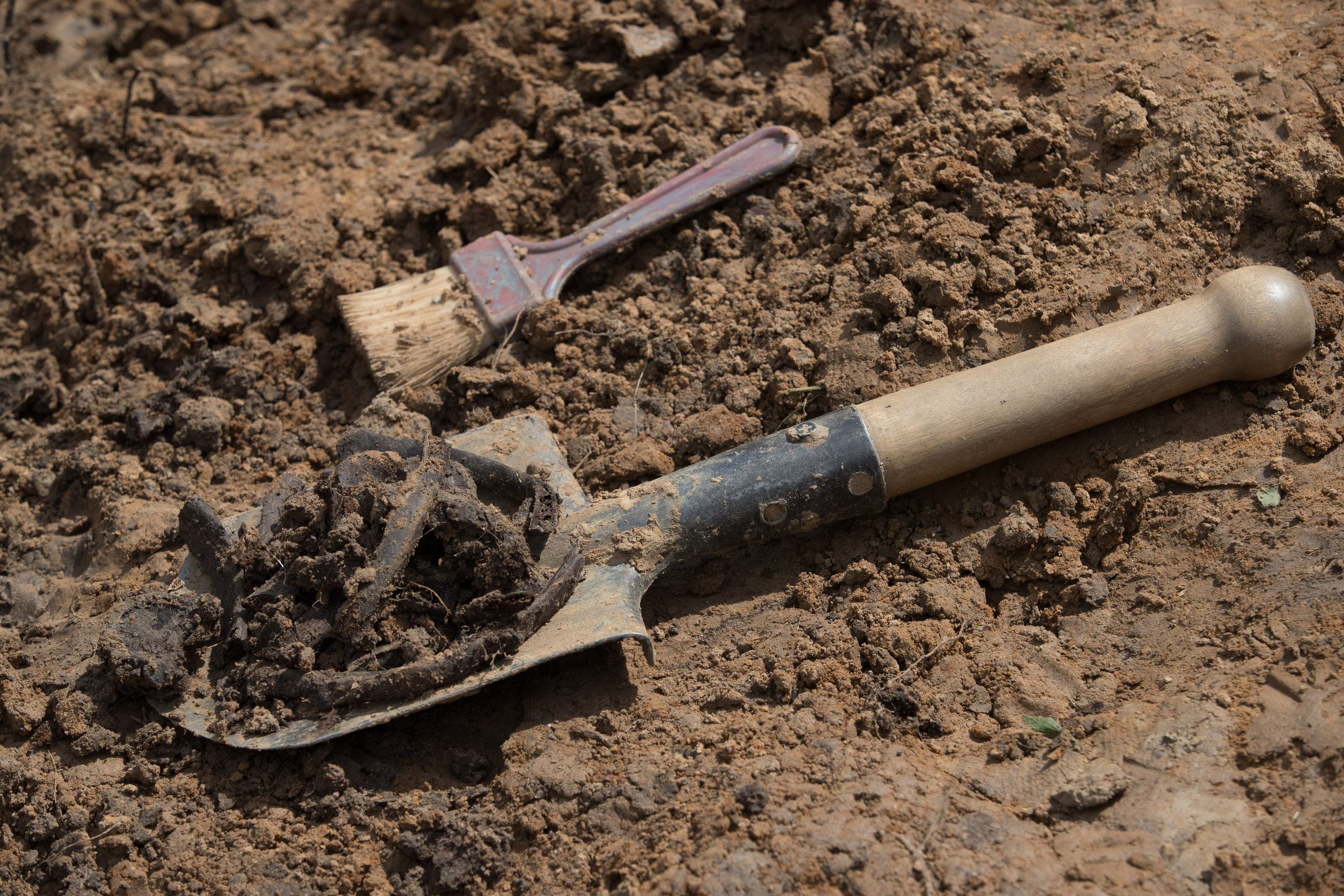 Ржев. Калининский фронт. Виктор Вытольский —репортажный и событийный фотограф в Москве