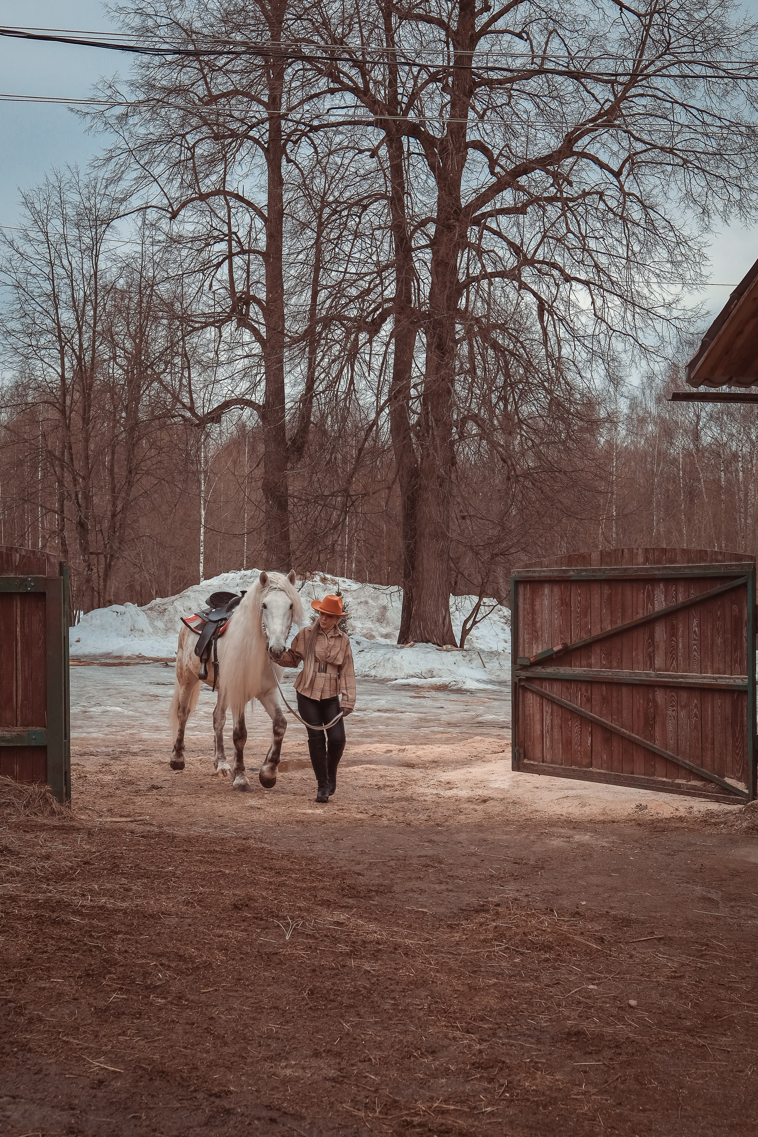Конная прогулка с Ириной!. Фотограф Нина Пашина — Пермь