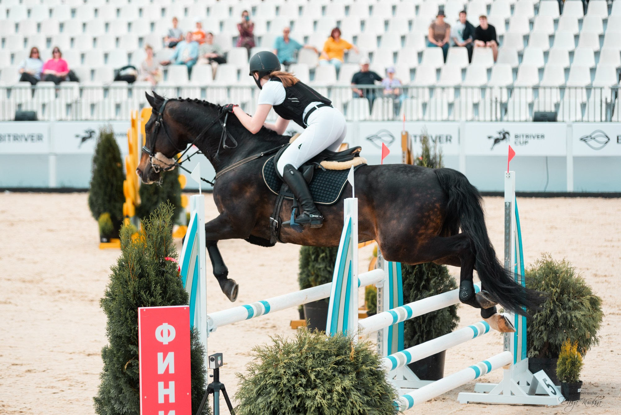 BITRIVER CUP 2023. Конный фотограф Куракина Дарья • Фотосессии с лошадьми