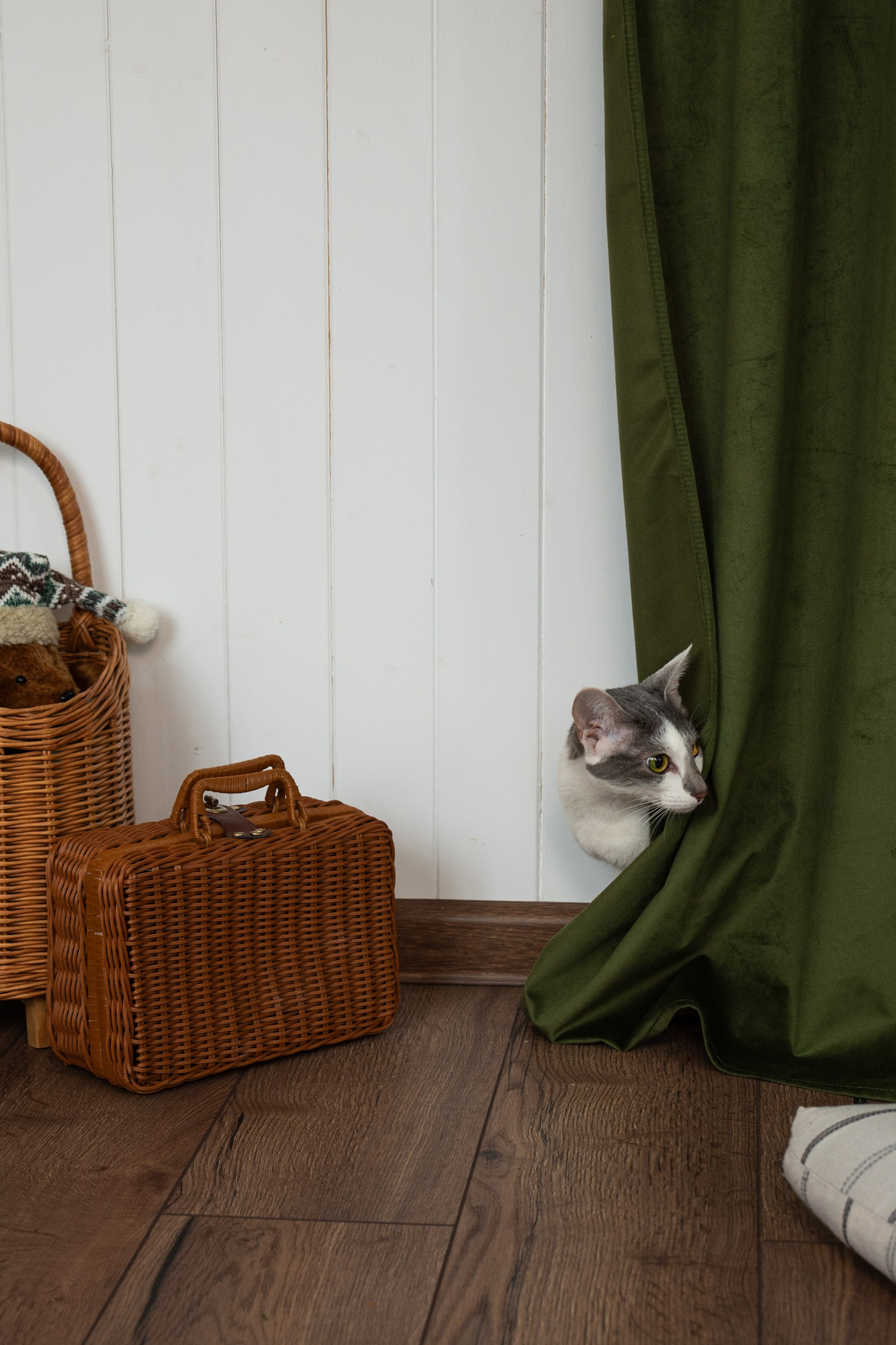 Семейные. Фотограф | Виктория Чернышева