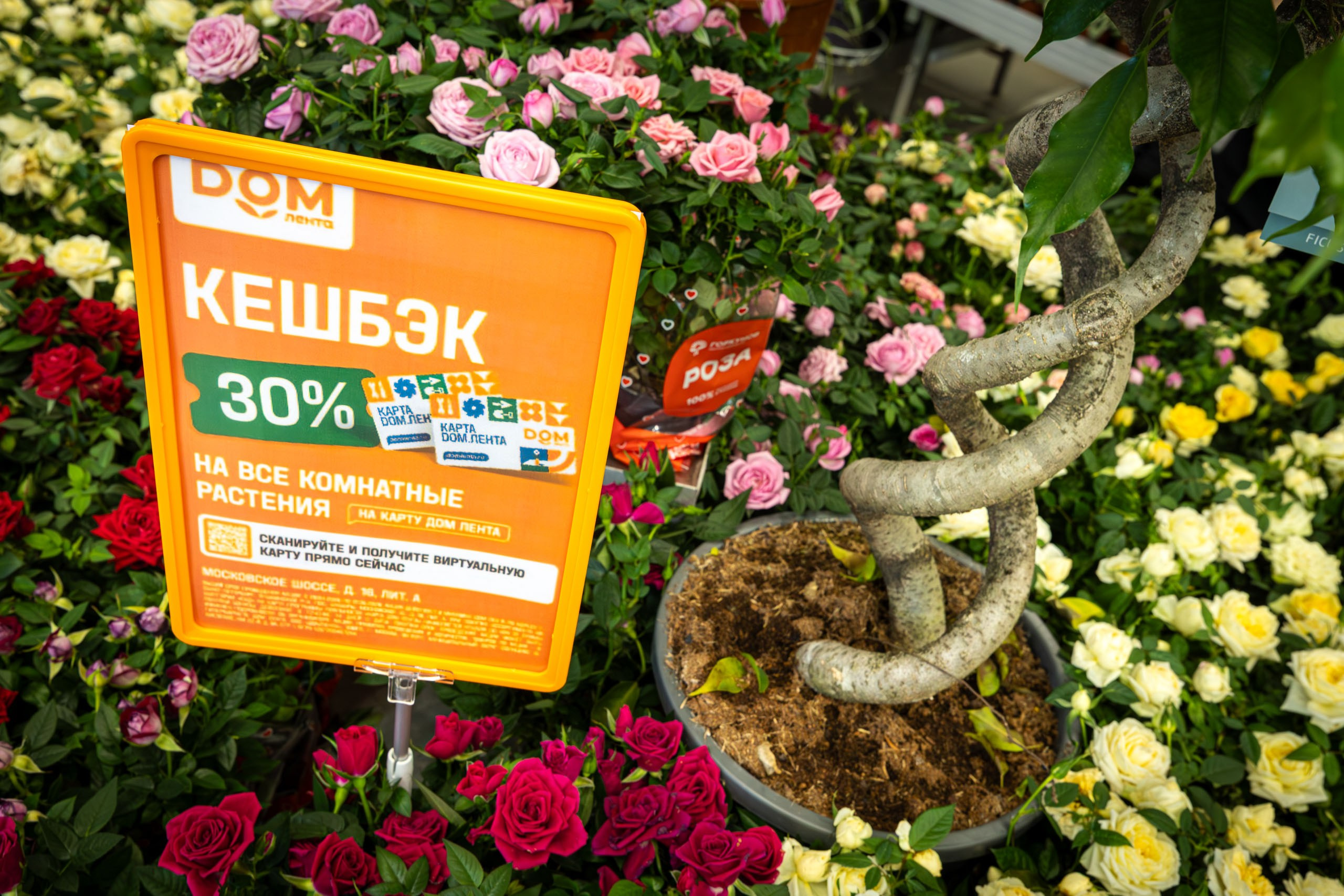 Съёмки для бизнеса. Фотограф в Санкт-Петербурге Денис Топчий