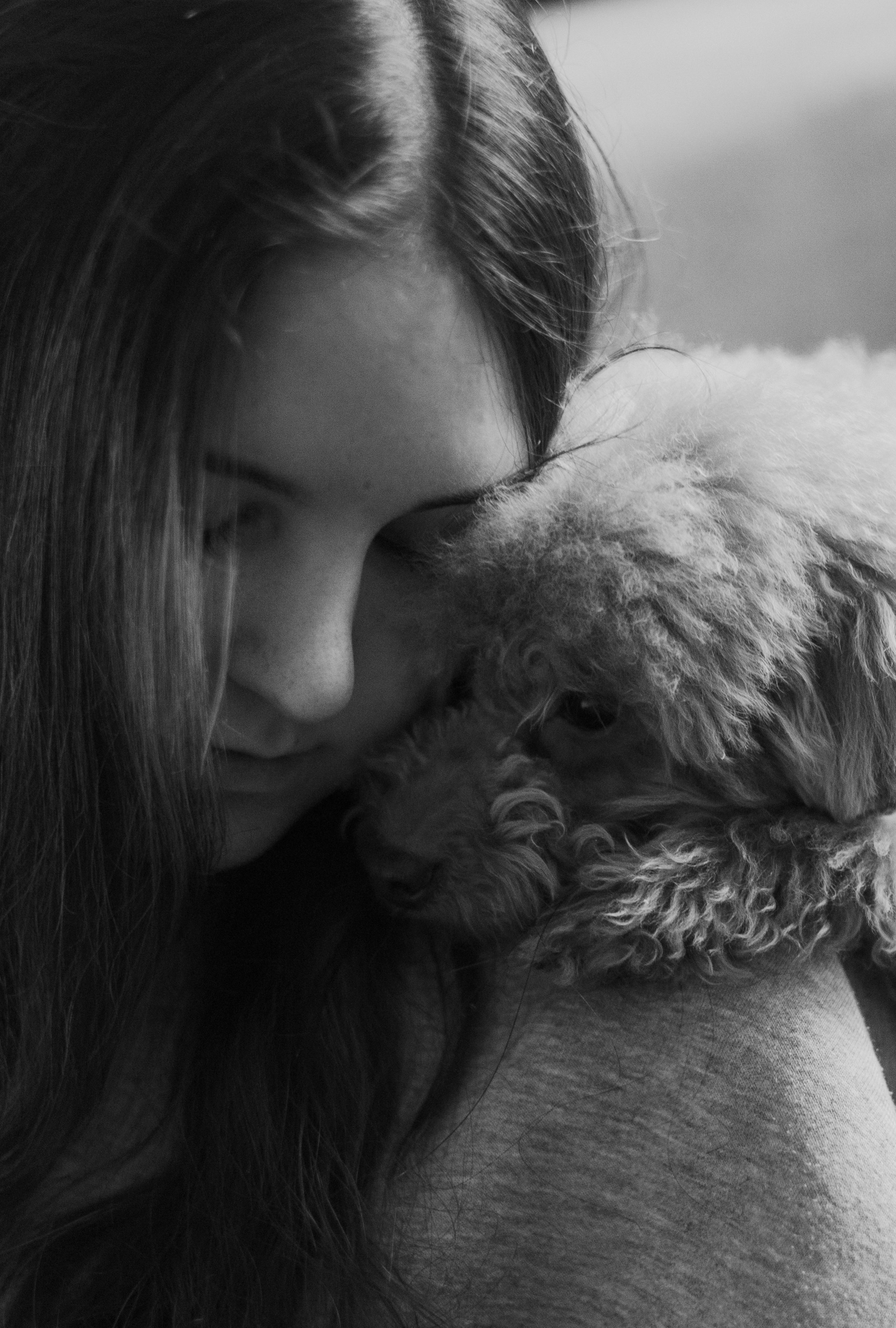 Маша, Одди и Нэвил. Фотограф-анималист Богданова Полина