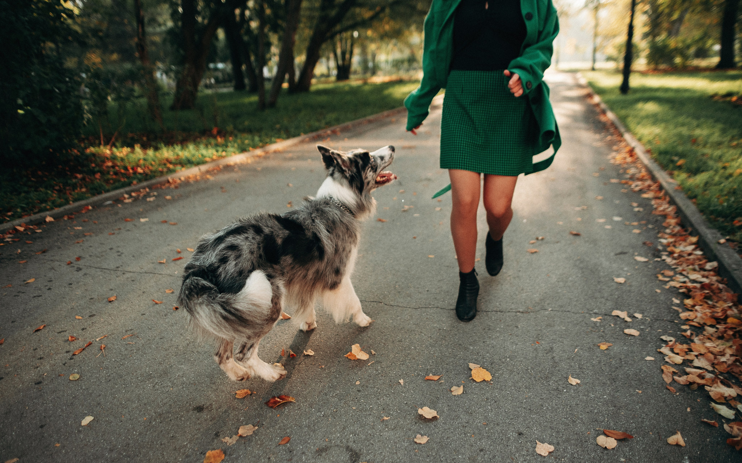 Диана и Робин. Фотограф-анималист Богданова Полина