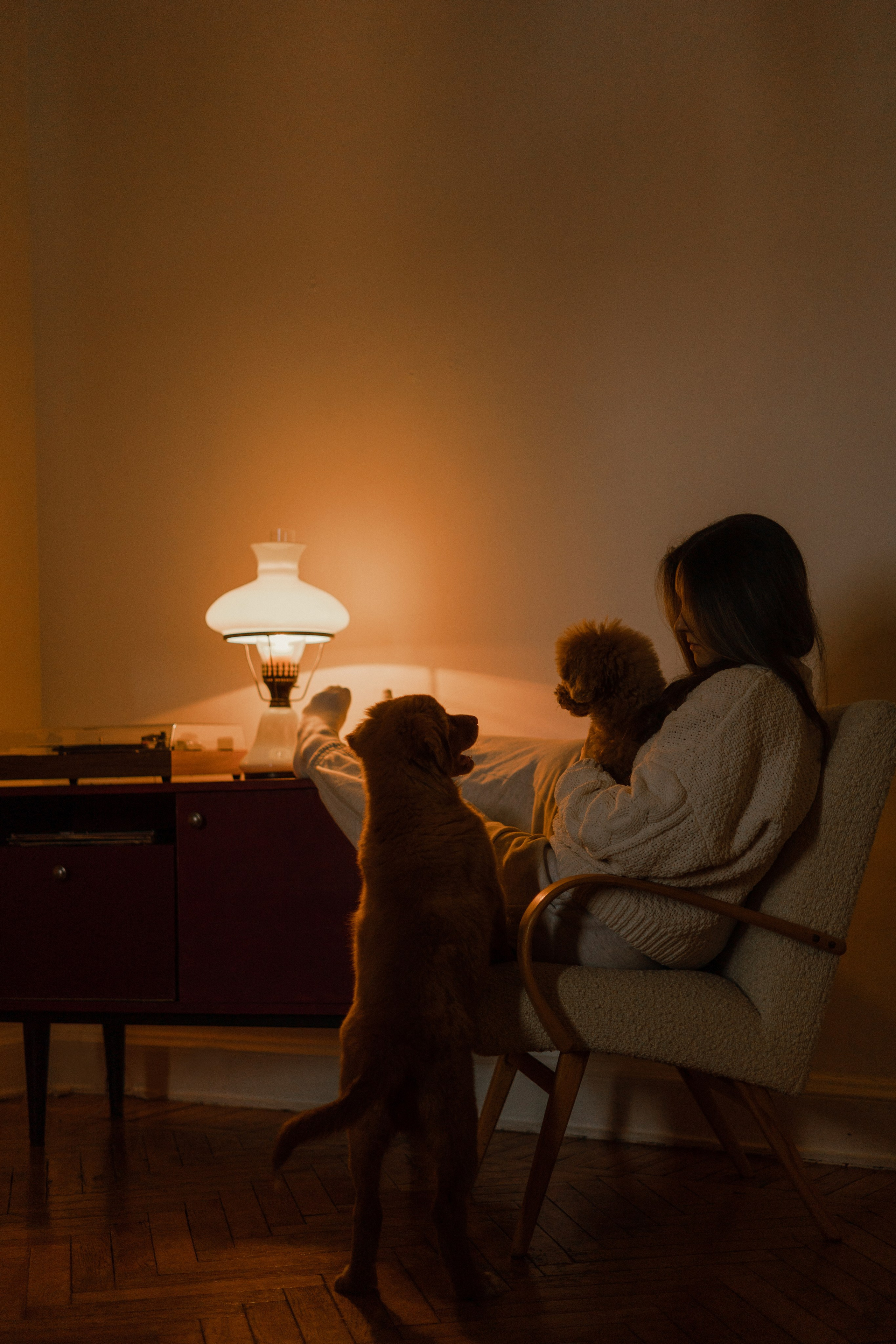 Маша, Одди и Нэвил. Фотограф-анималист Богданова Полина