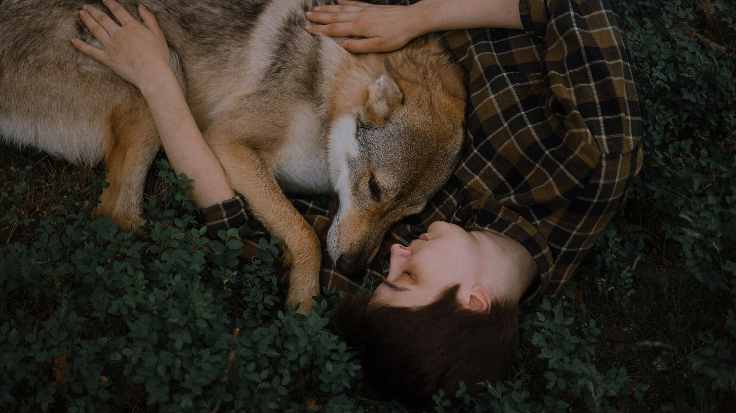 Маша и Дэрил. Фотограф-анималист Богданова Полина
