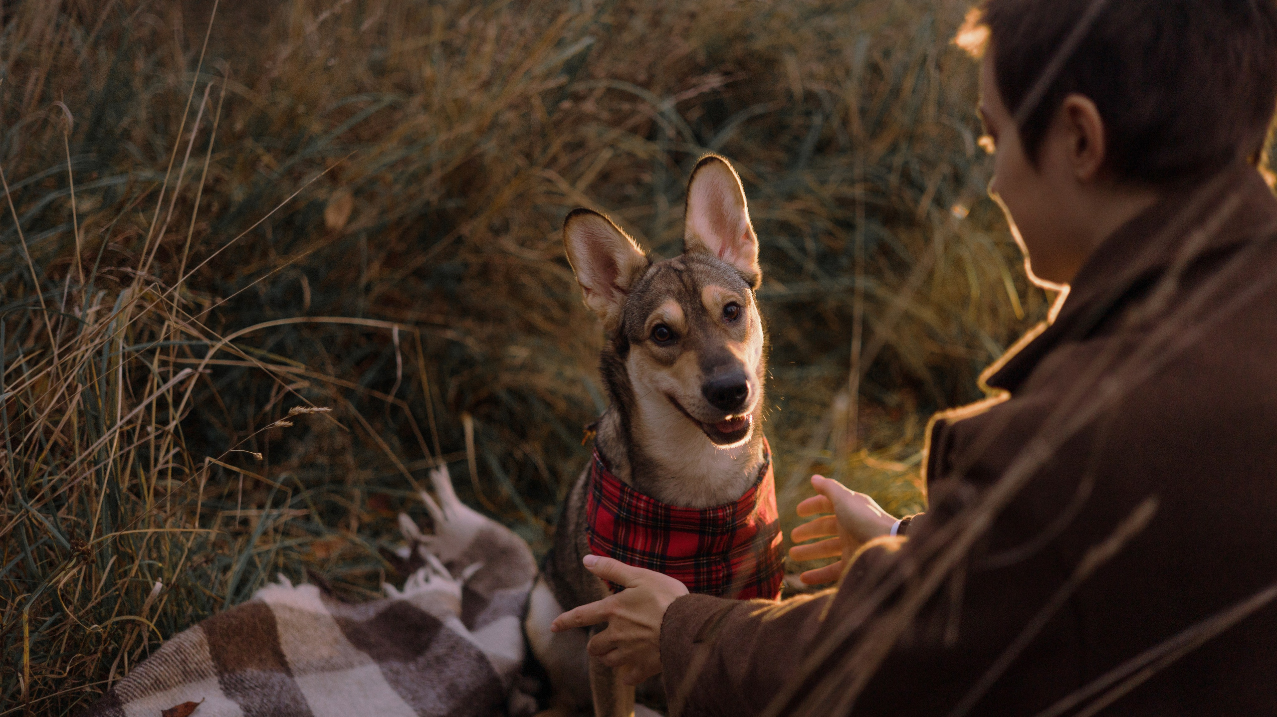 Маша, Катя, Астрид и Мася. Фотограф-анималист Богданова Полина