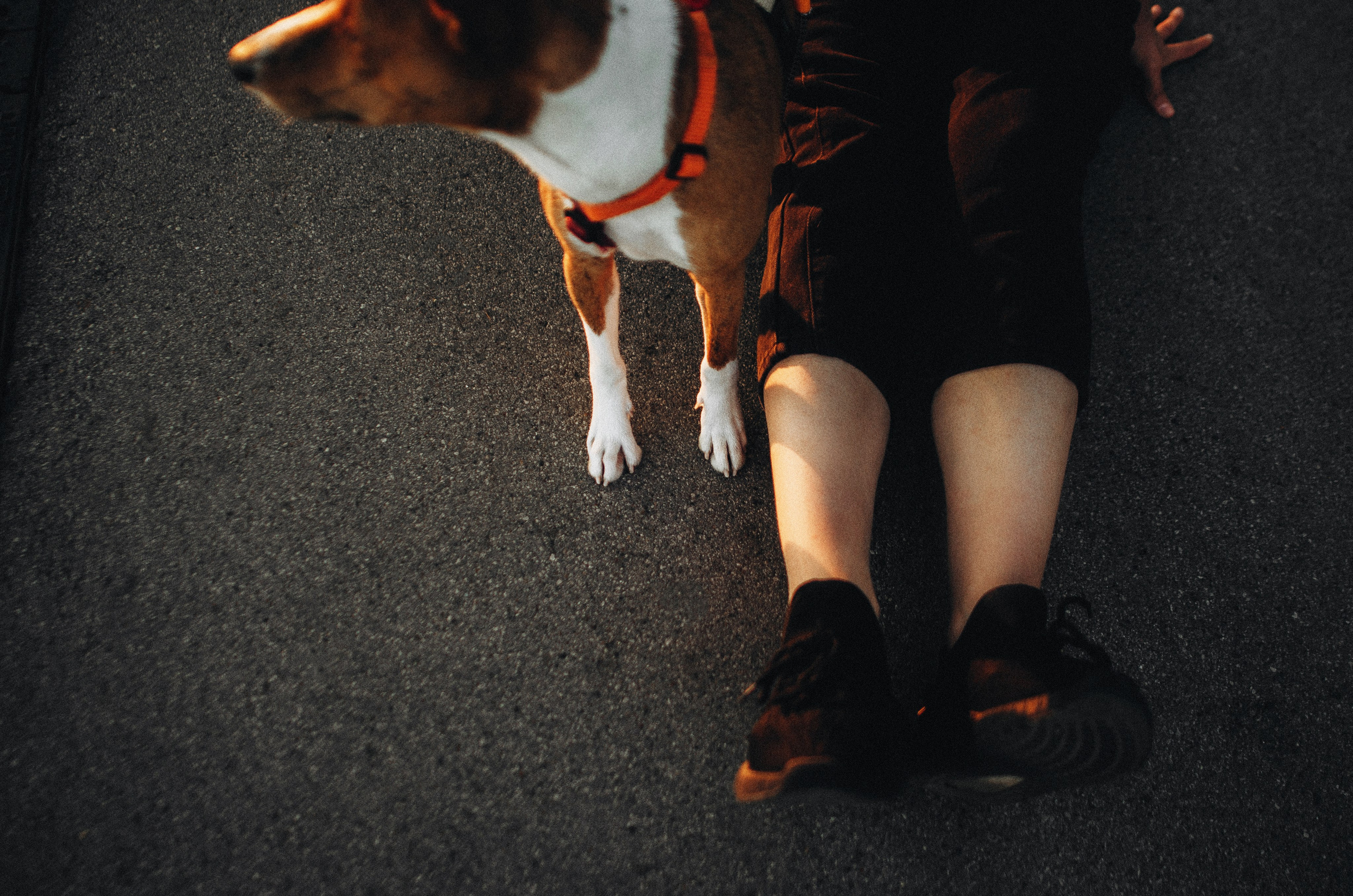 Снежана и Мэнни. Фотограф-анималист Богданова Полина