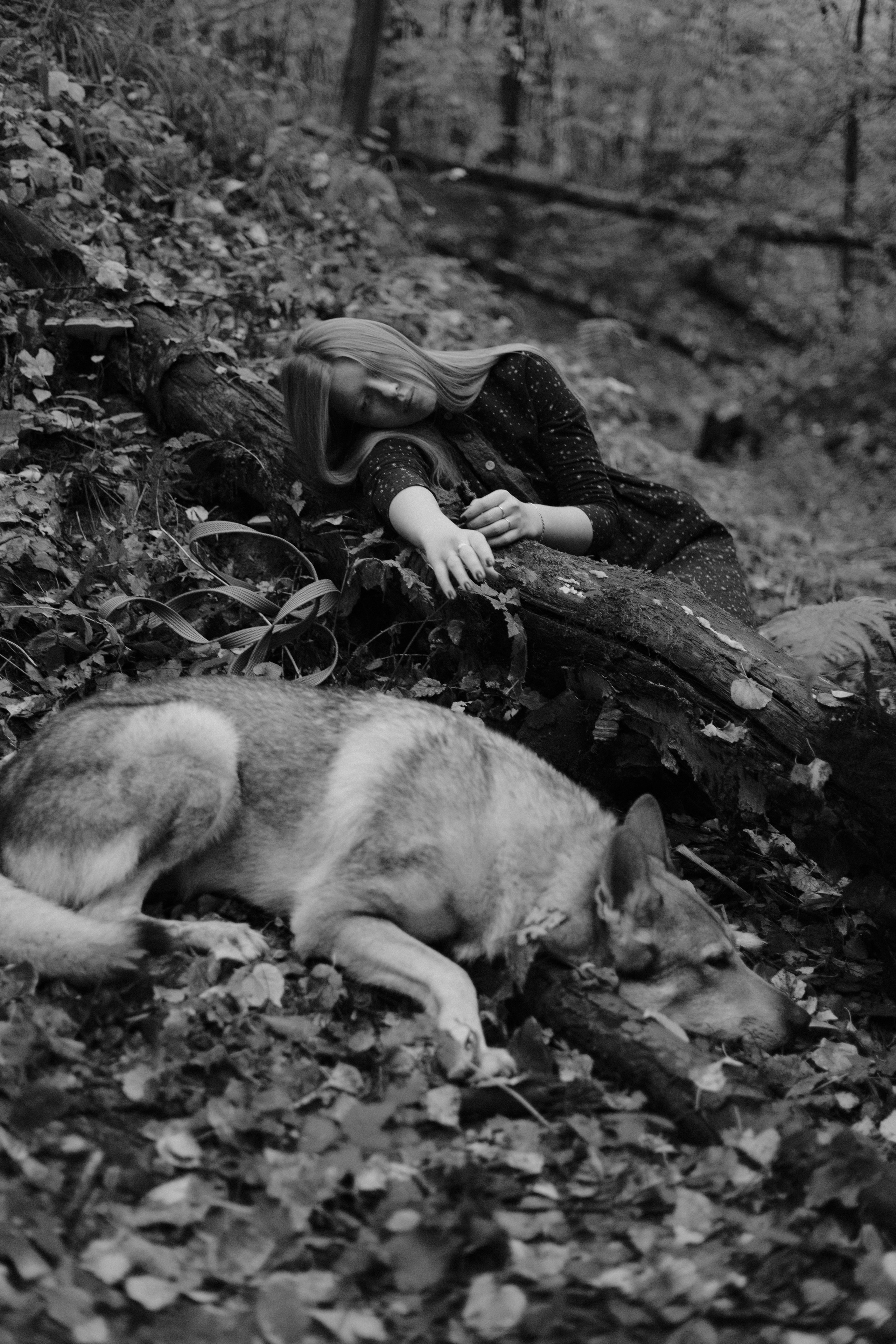 Полина и Вегард. Фотограф-анималист Богданова Полина