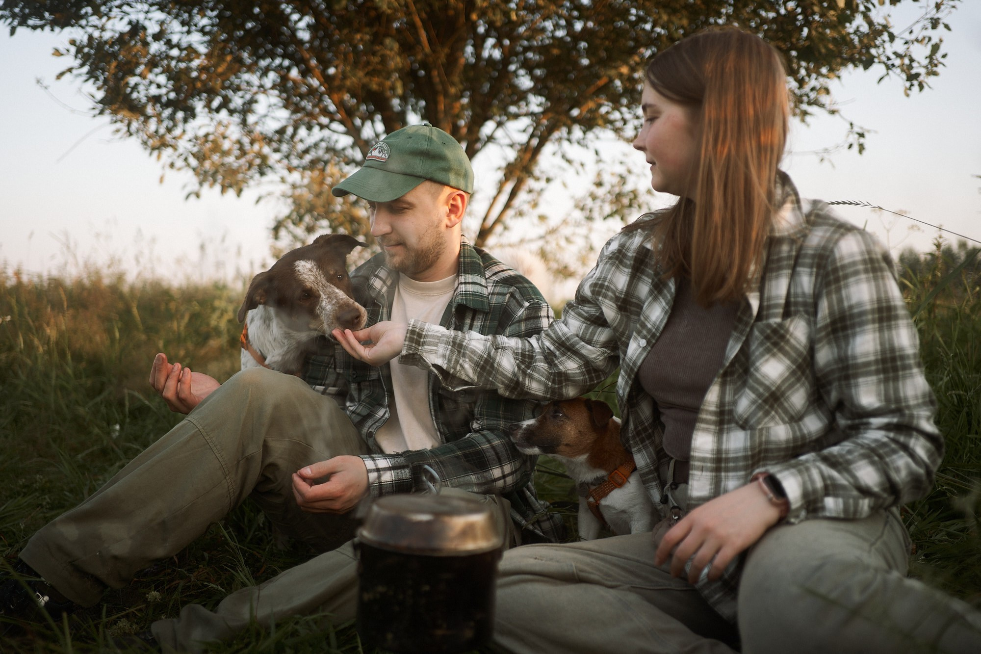 На рассвете. Фотограф анималист Москва Дарья