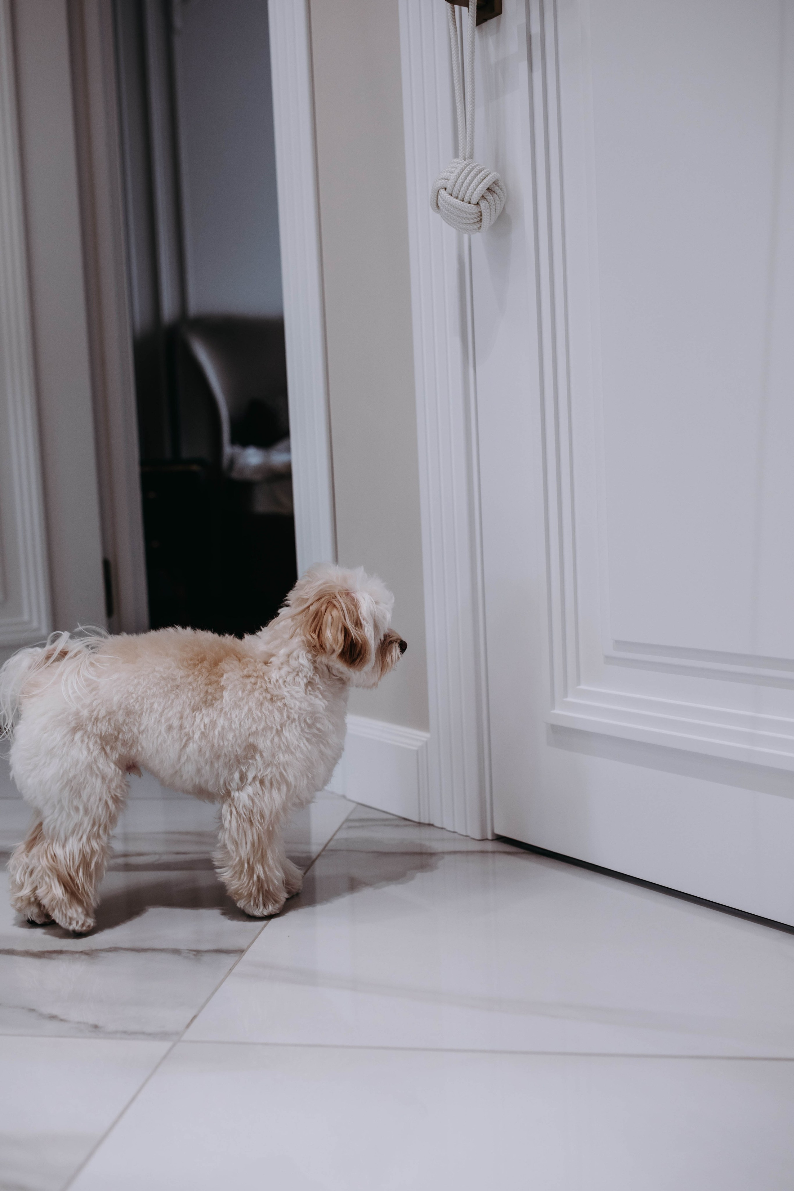 Белла. Профессиональный фотограф