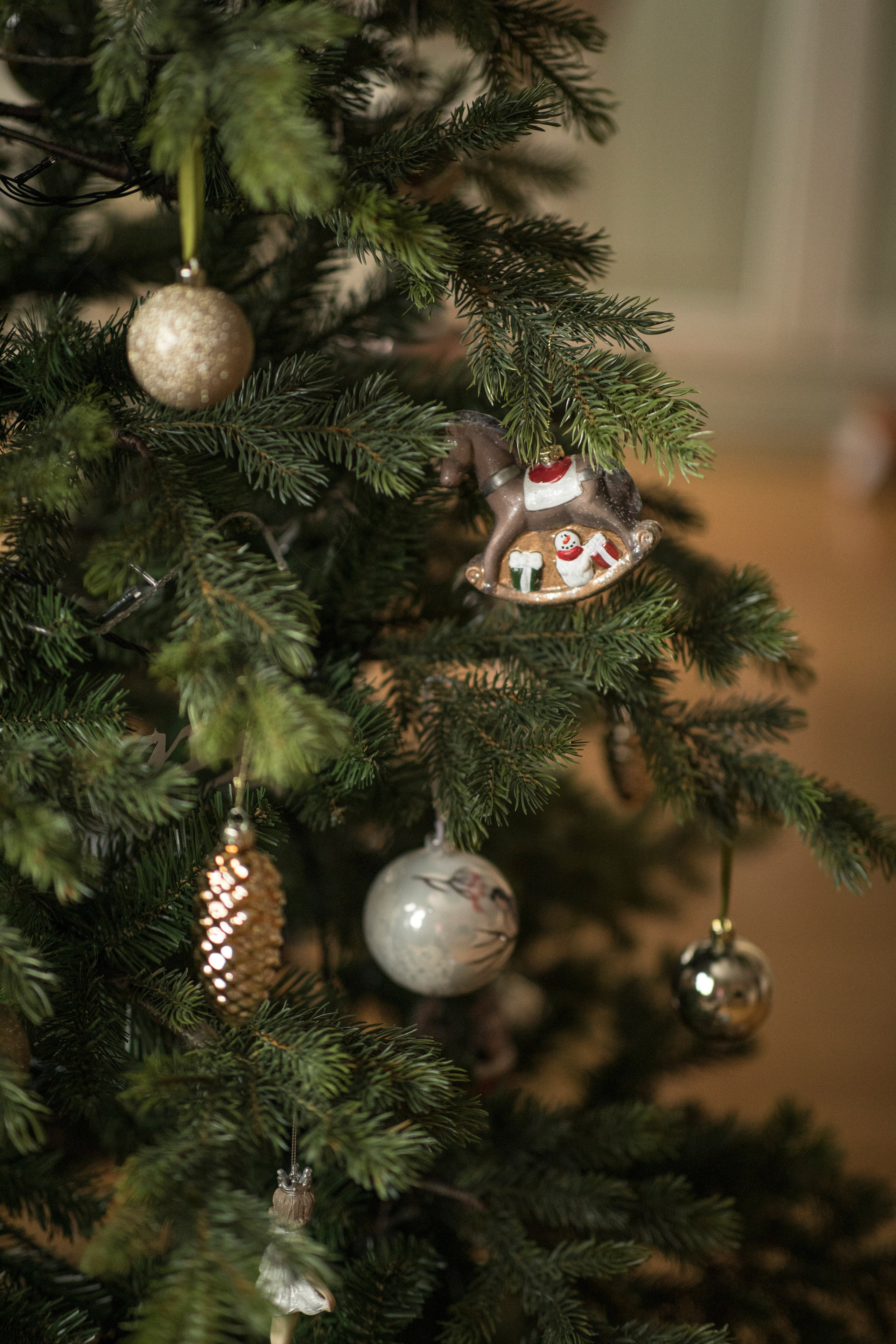 Новый год!. Спортивный фотограф в Москве