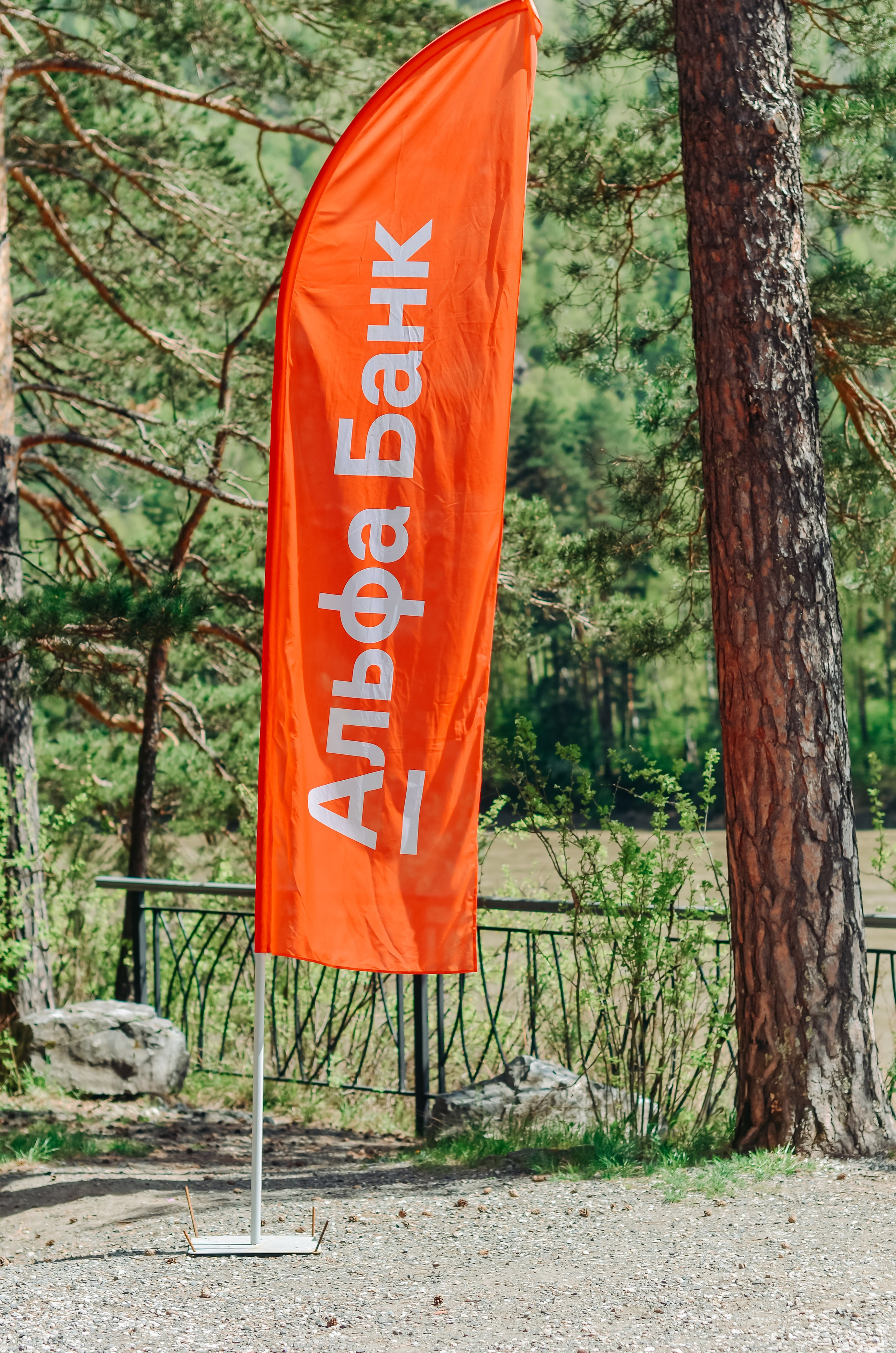 Фестиваль «Цветение Маральника на Алтае 2025». Фоторепортаж. Денисова Аля — фотограф для парных съемок и индивидуальных историй в Барнауле