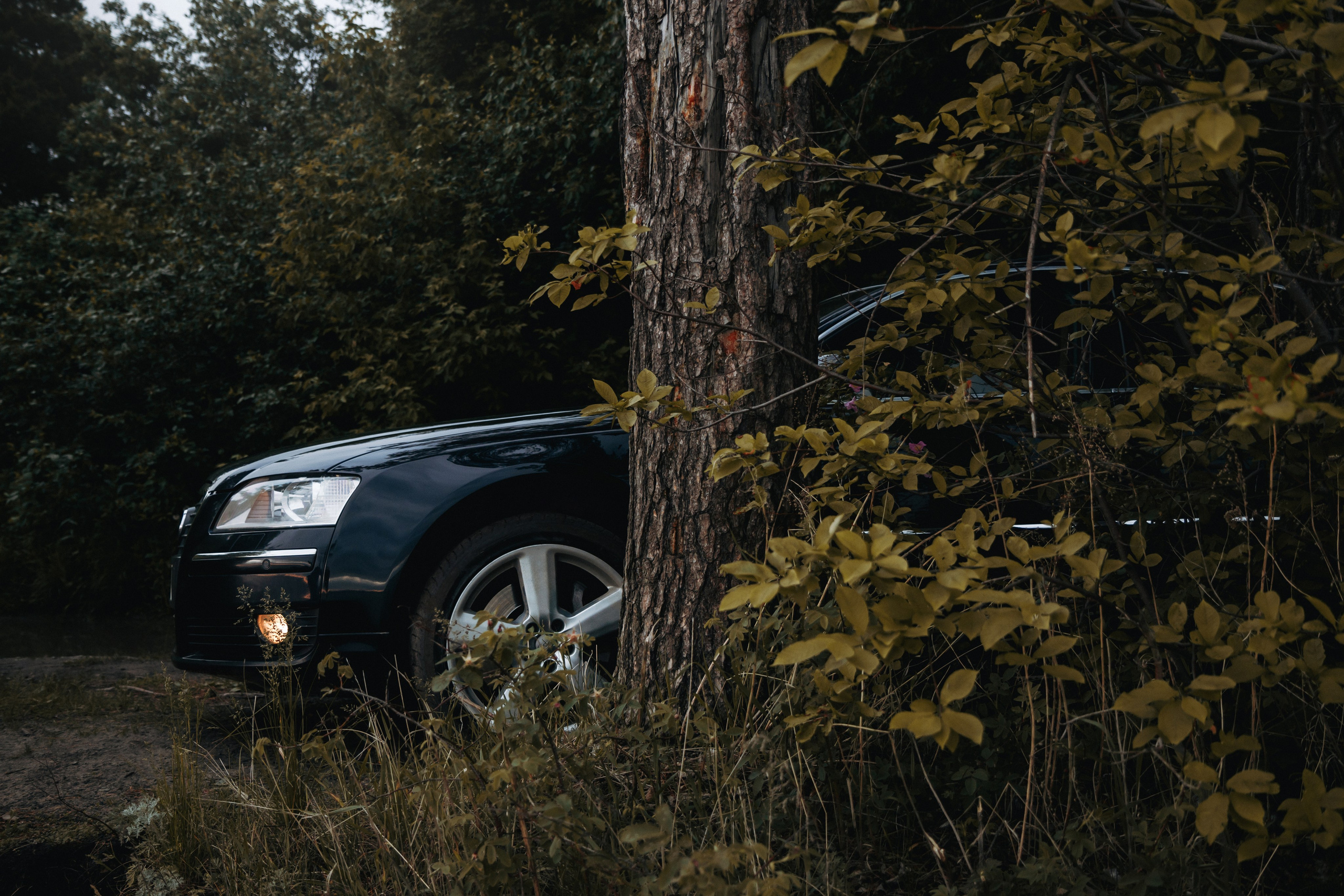 Audi A8. Автомобильный фотограф и видеограф в Новосибирске|Александра Косухина