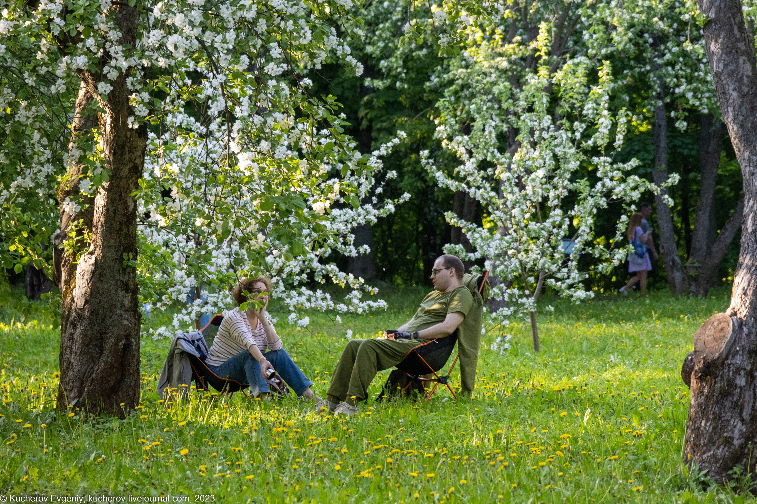 Репортаж. Кучеров Евгений. Фотограф