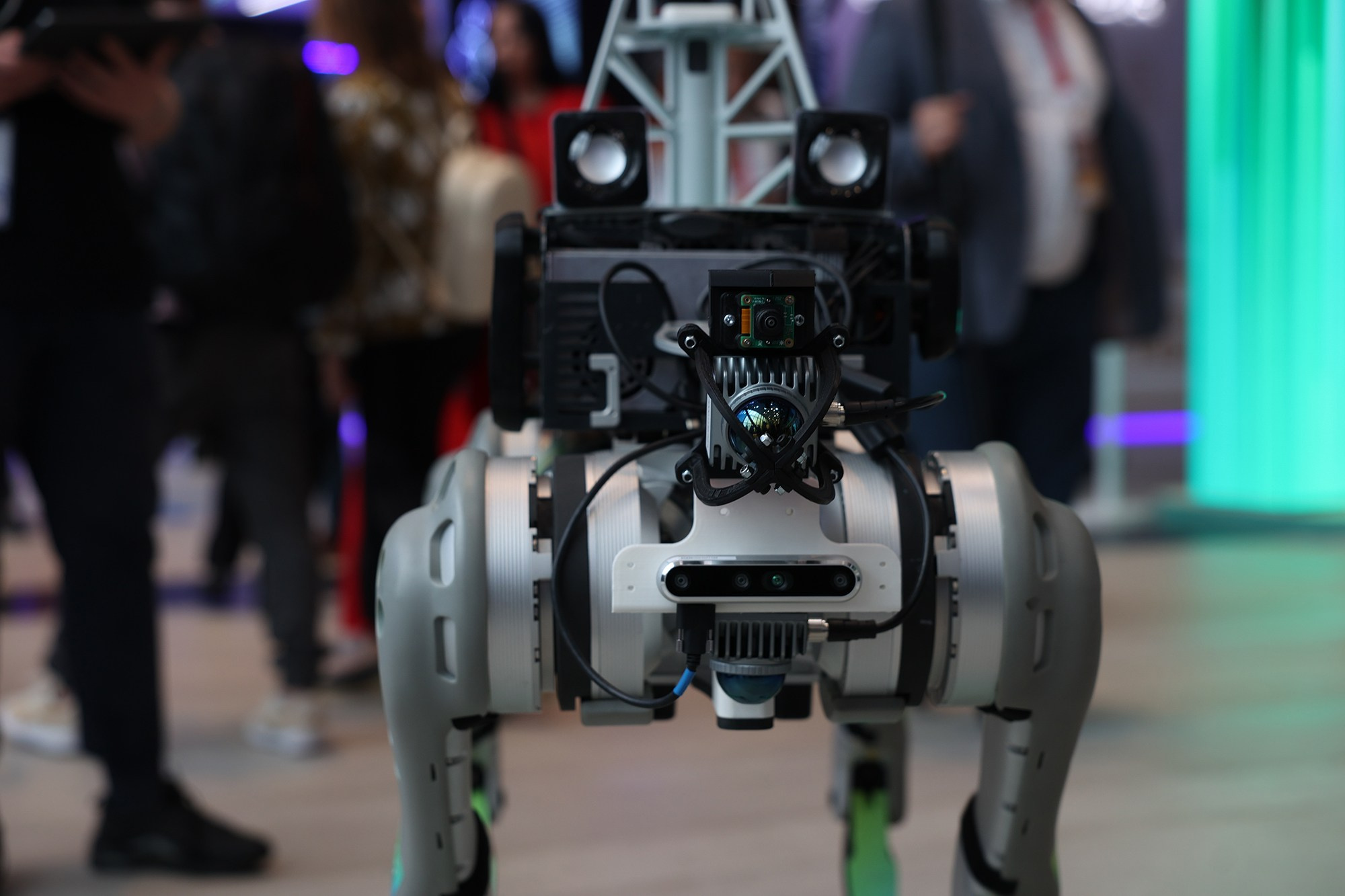 ПМЭФ. Репортажный, портретный и свадебный фотограф в Санкт-Петербурге и Москве