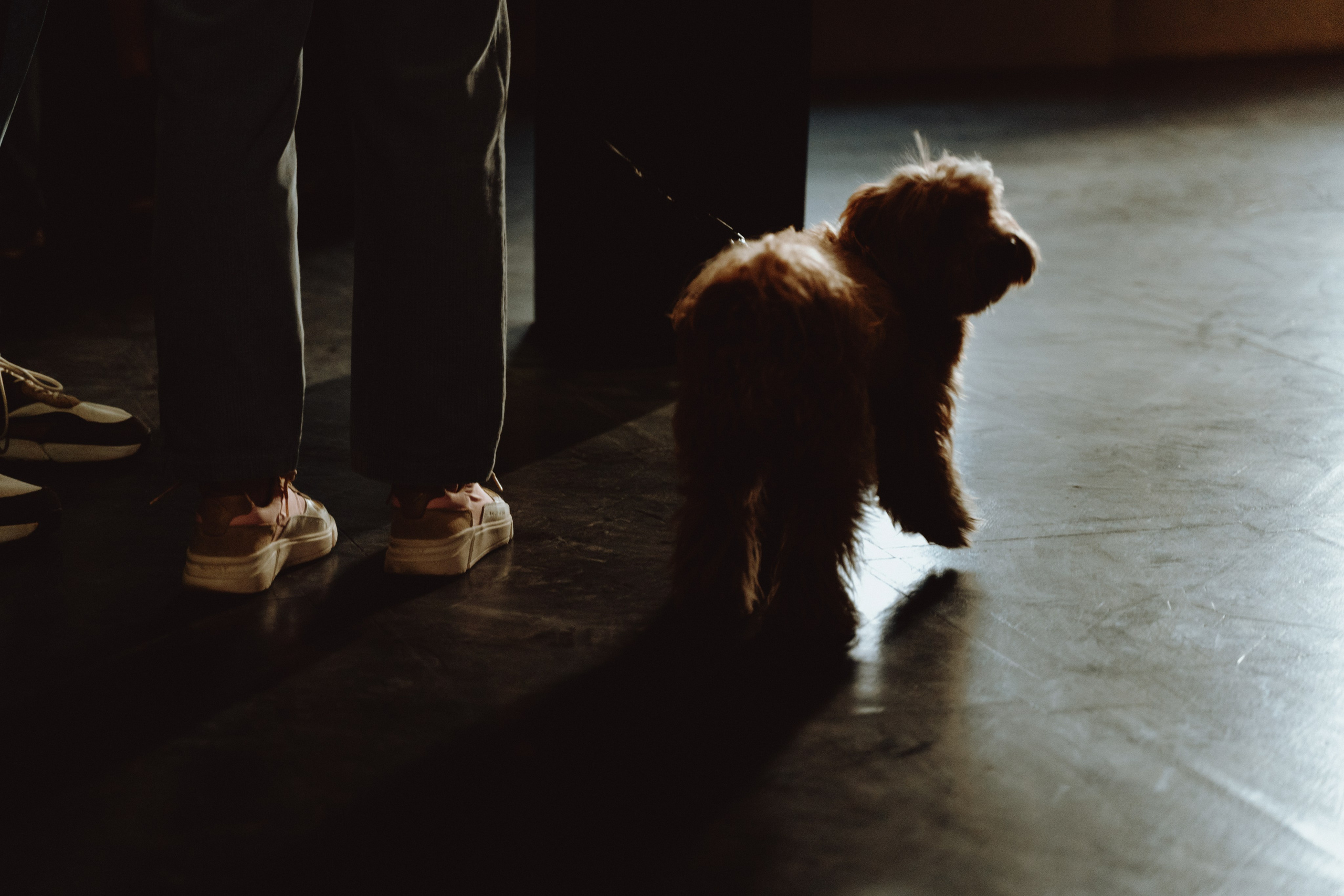 Художественные выставки. Портретный фотограф в Москве Эмиль Халиков