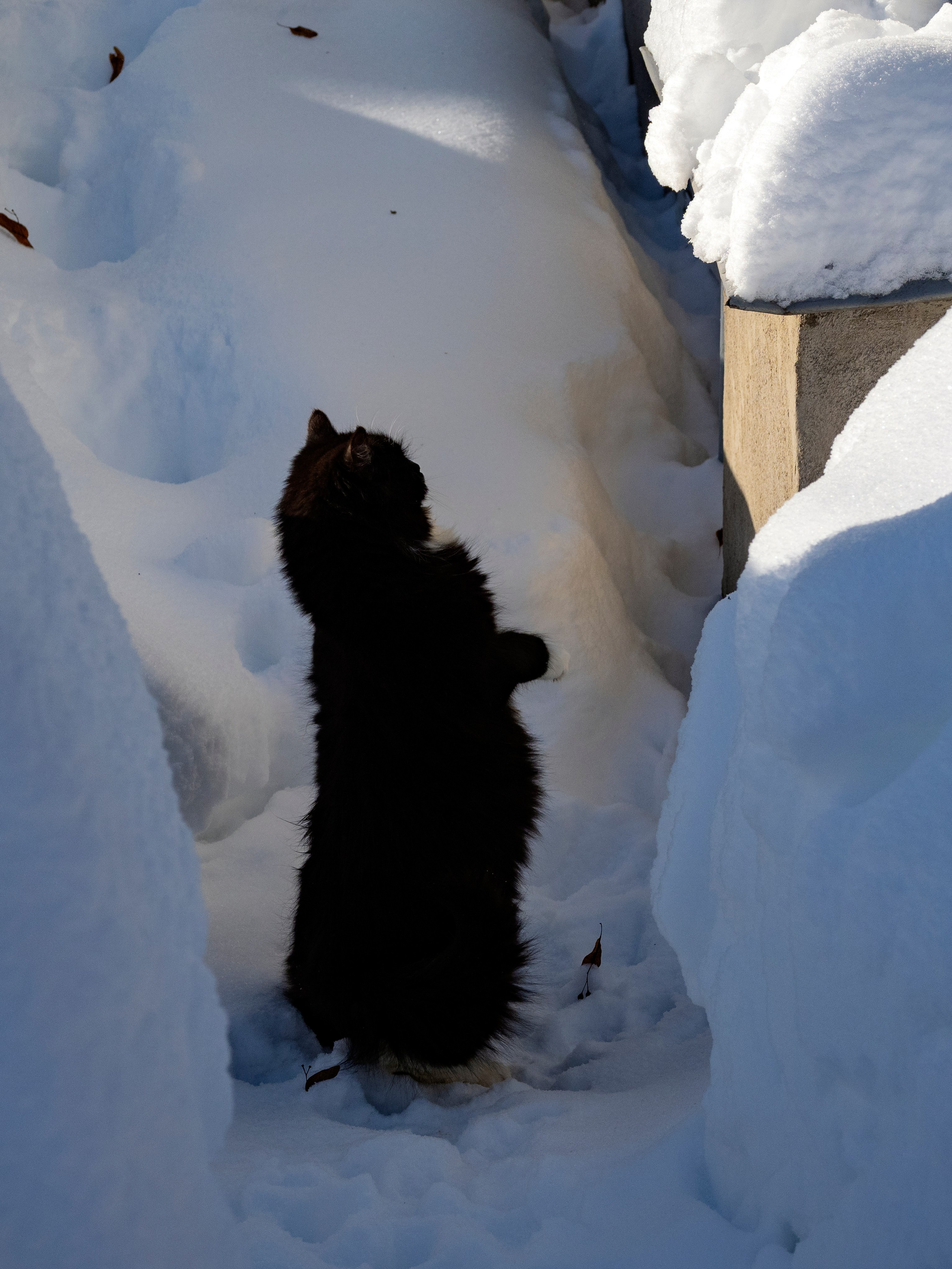 Абрамцево. Главная