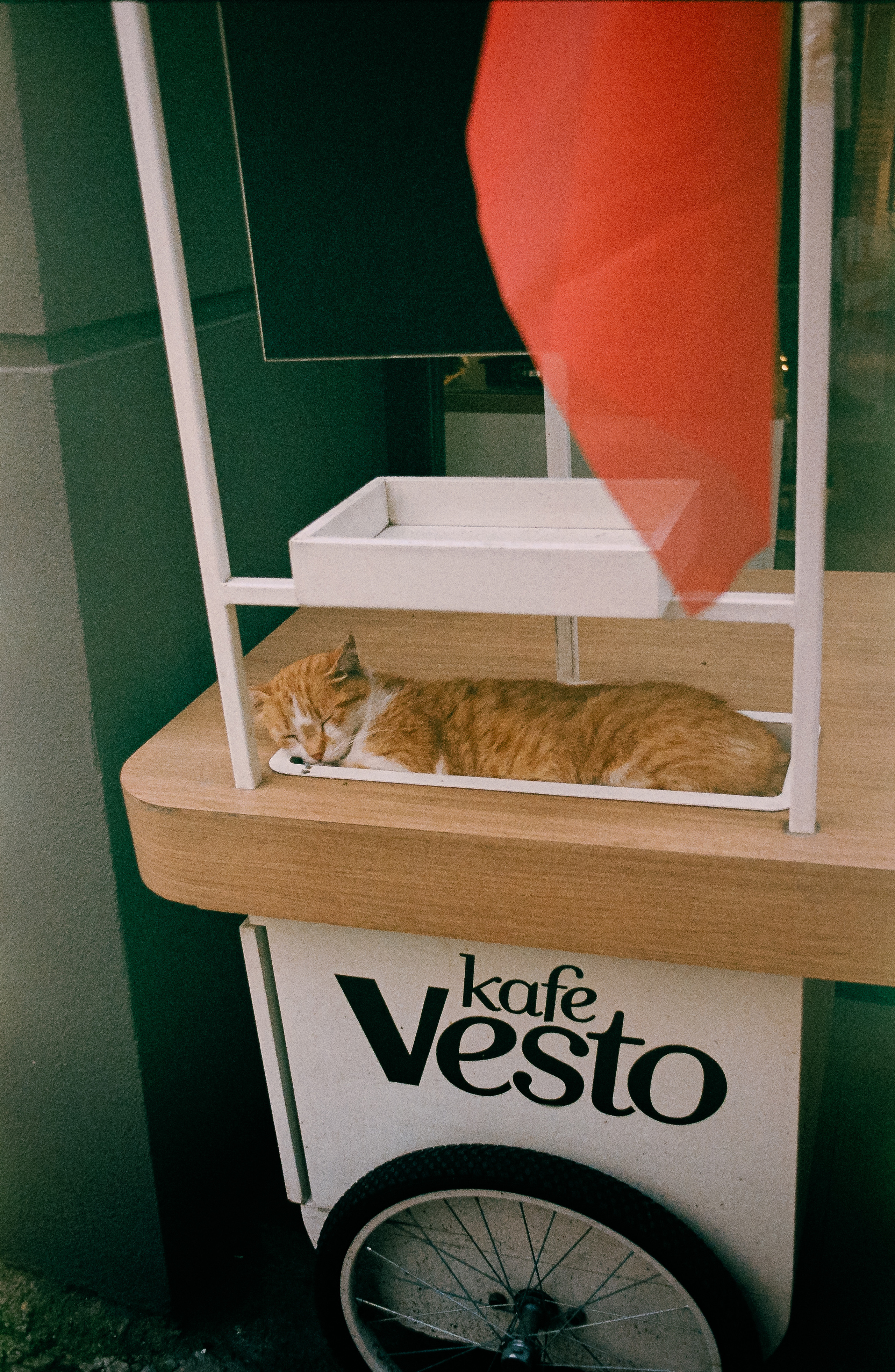 35 mm. Богдан Голубков — фотограф (notbogdang)