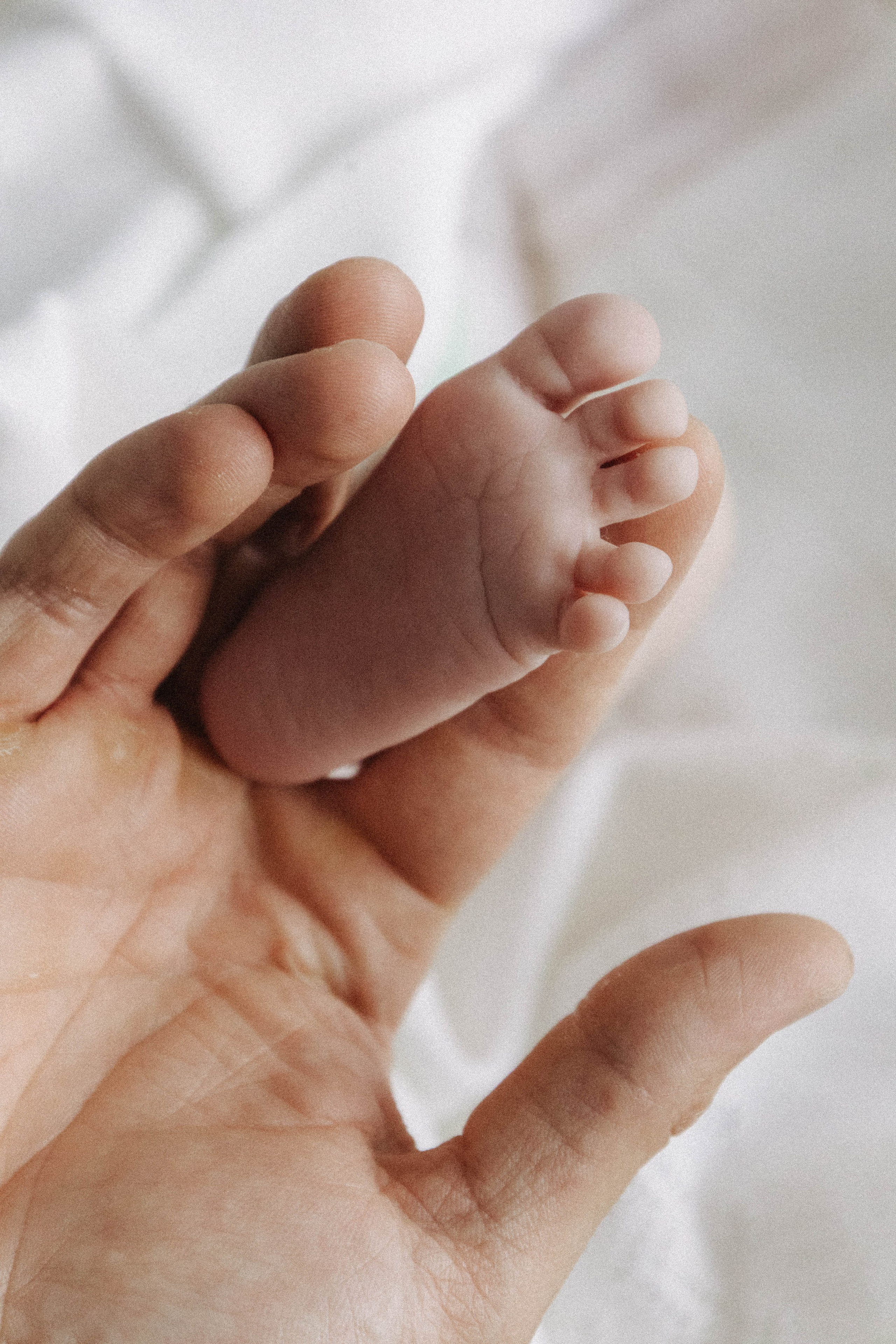 2+1. Вторая неделя жизни. Семейный фотограф Химки — Москва