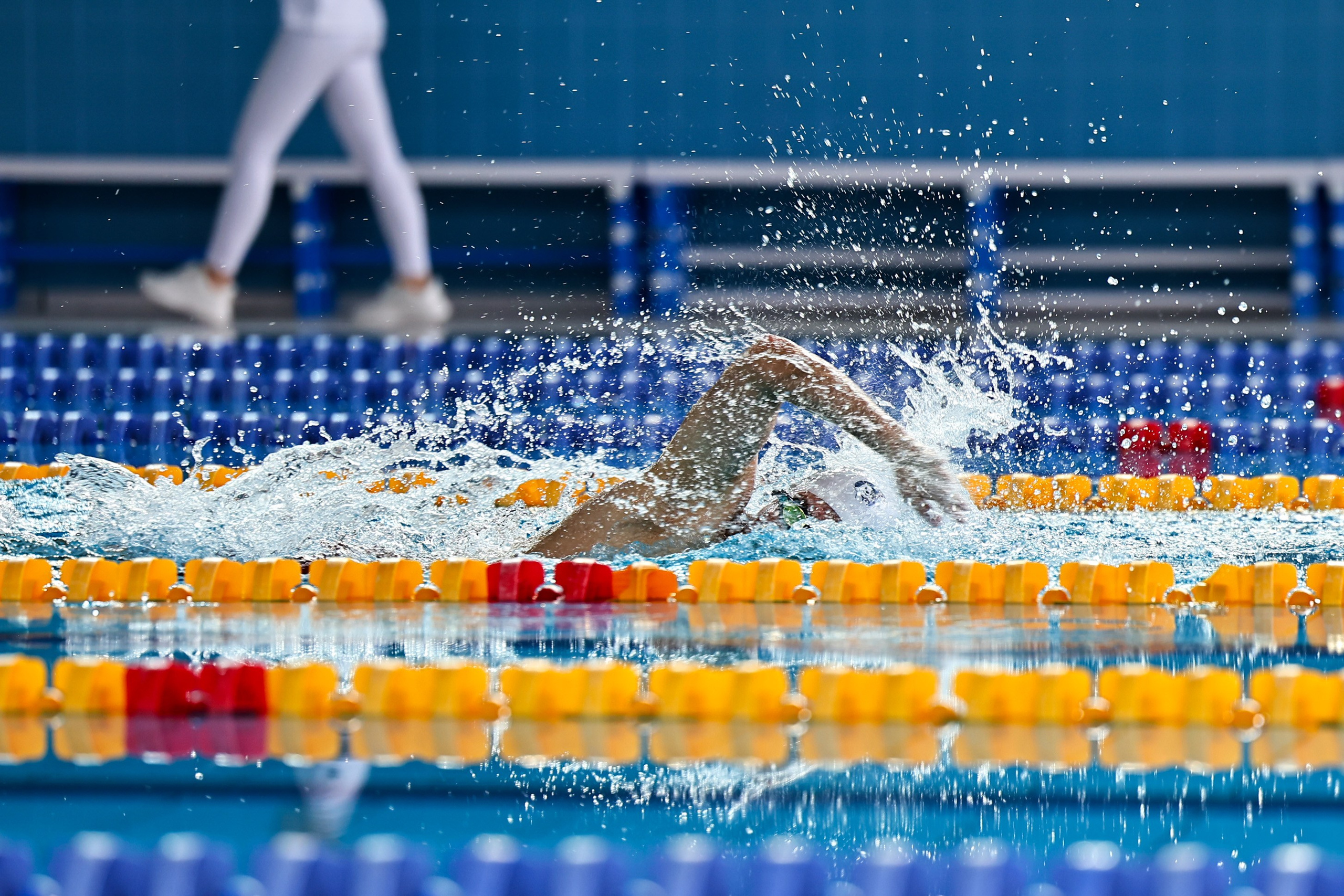 ДЗМ Плавание 2026. Фототерапевт Ева Бунеева