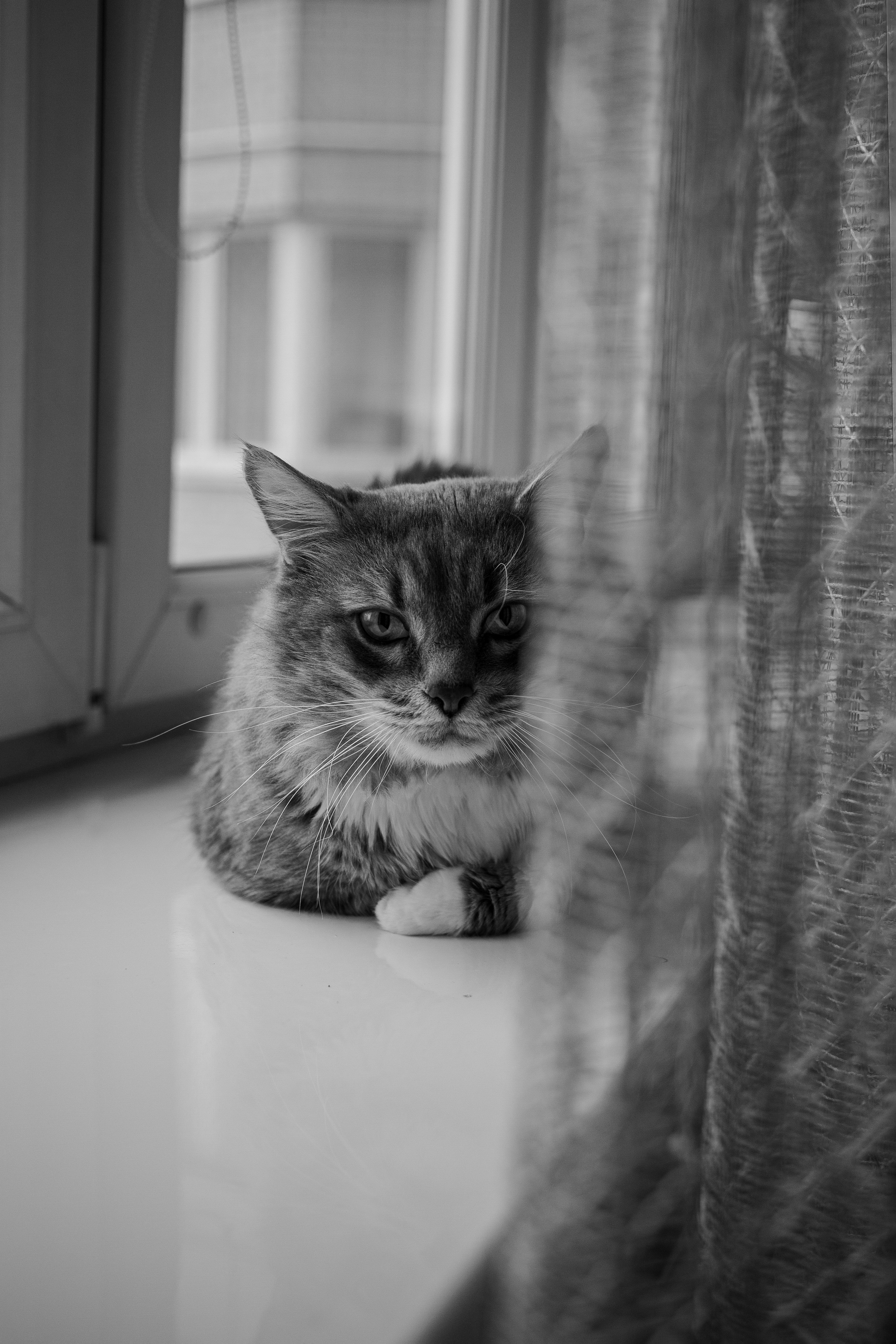 Юля (домашняя съемка). Женский портретный фотограф в Москве Анастасия Карпова