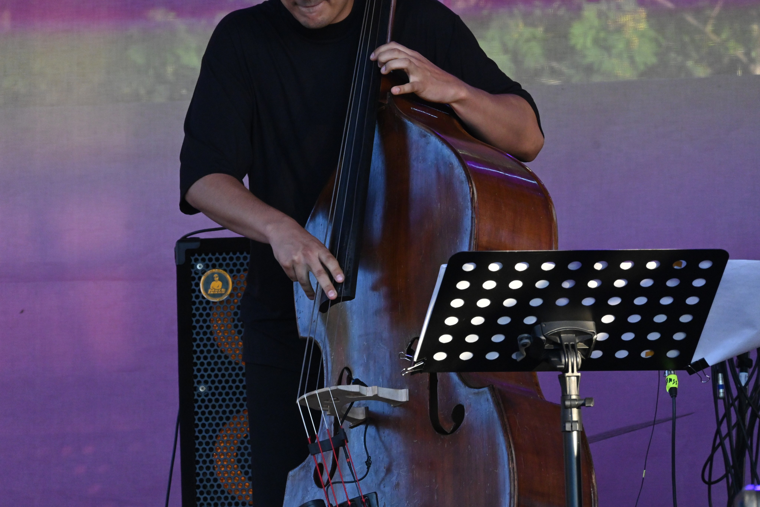 Джазовый фестиваль в Суздале 2024