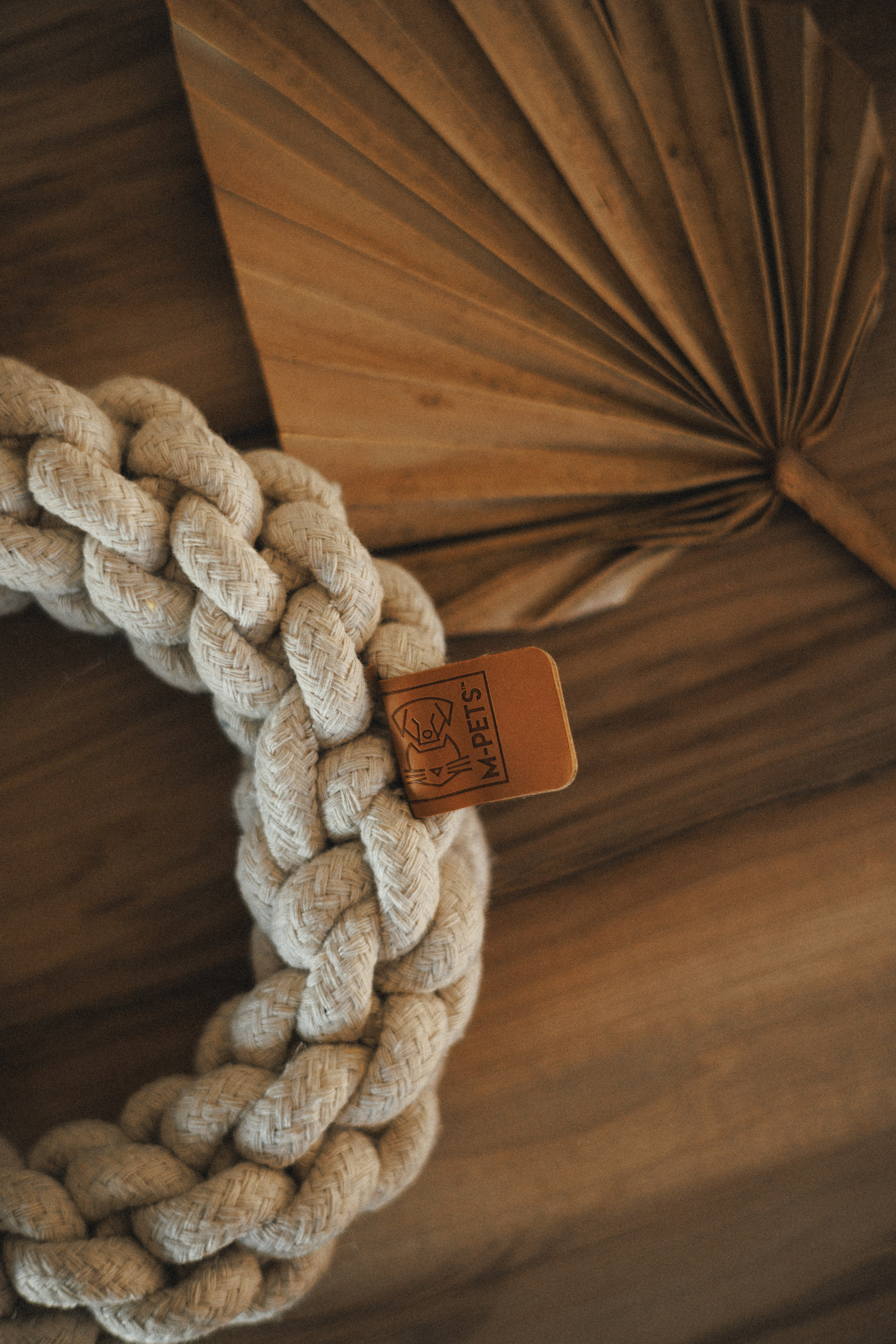 M-Pets. Фотограф анималист Осипчикова Мария